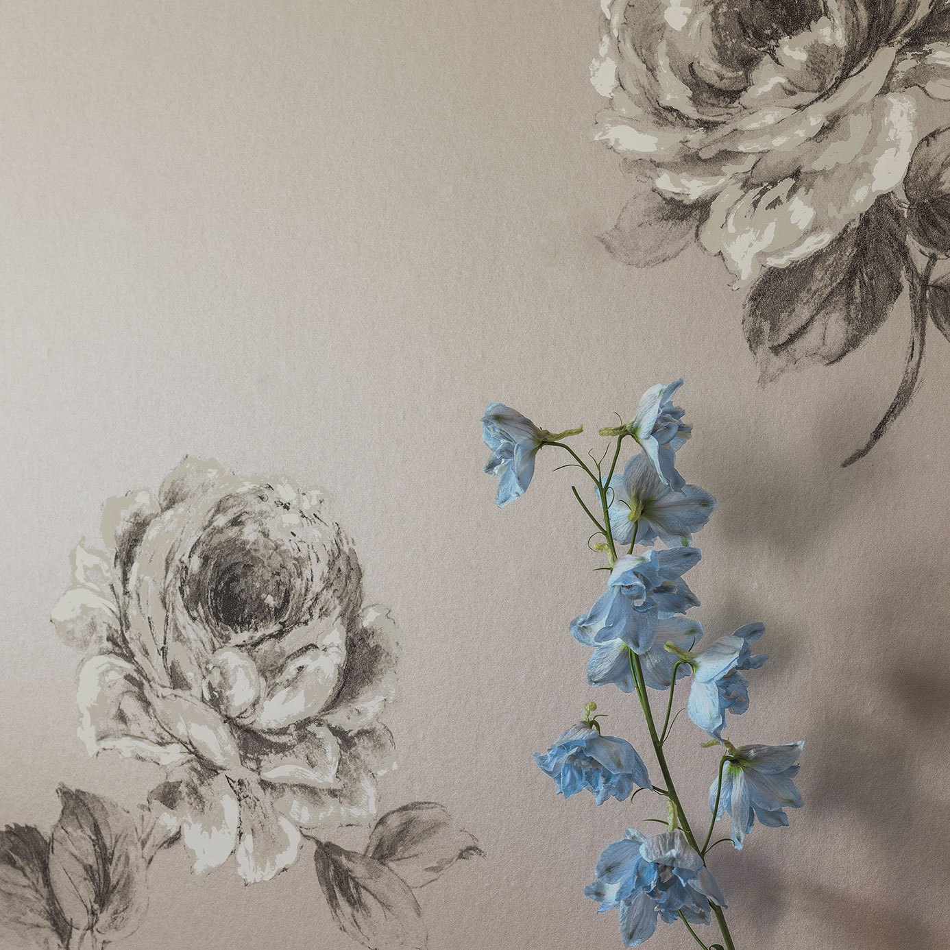 Rosa Silver Wallpaper by SAN
