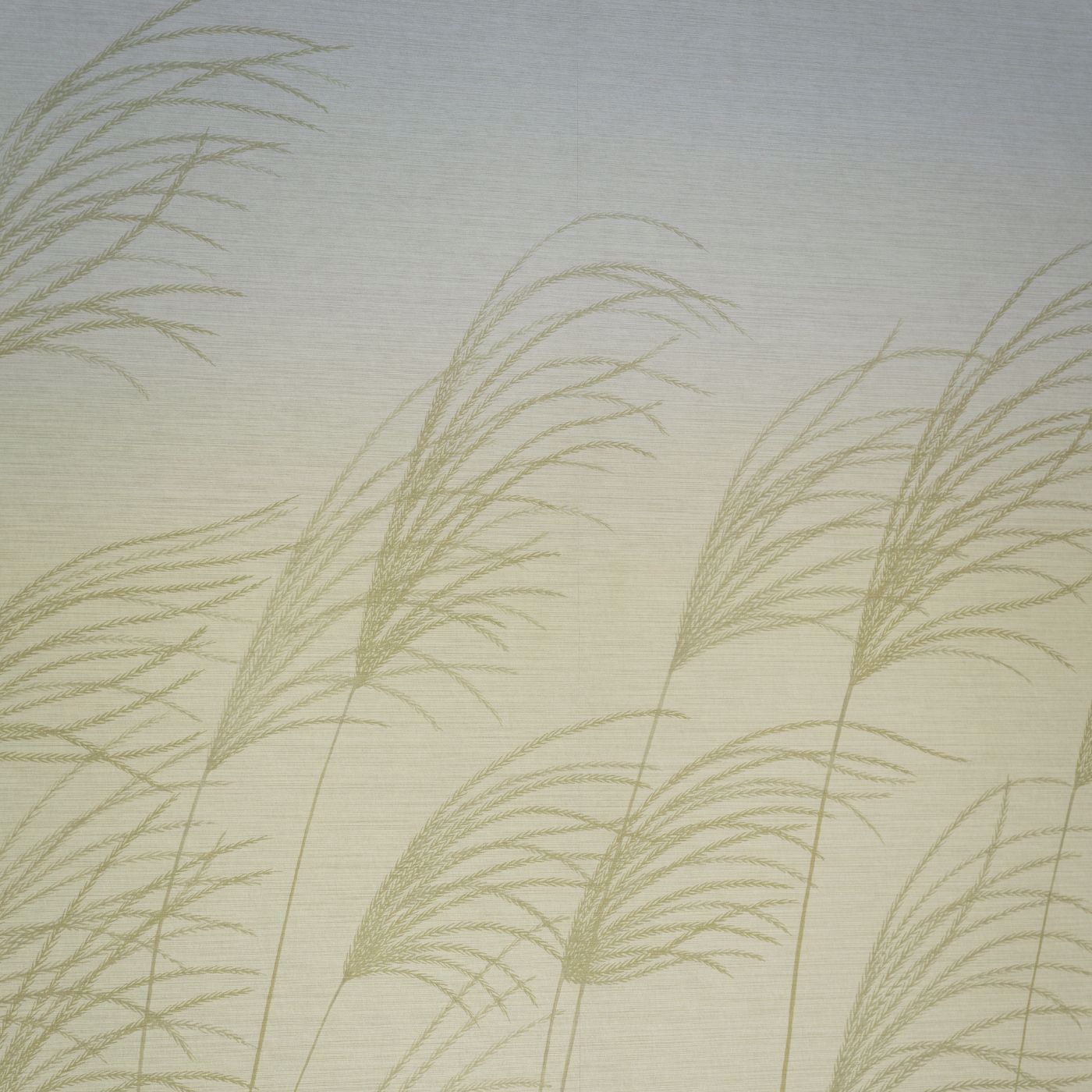 Miscanthus Buttermilk/Sky Wallpaper by HAR