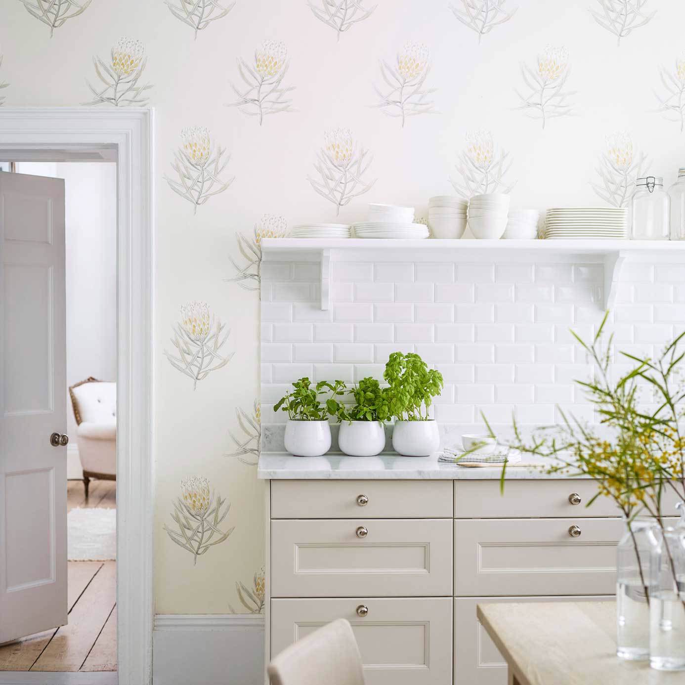 Protea Flower Porcelain/Blush Wallpaper by SAN