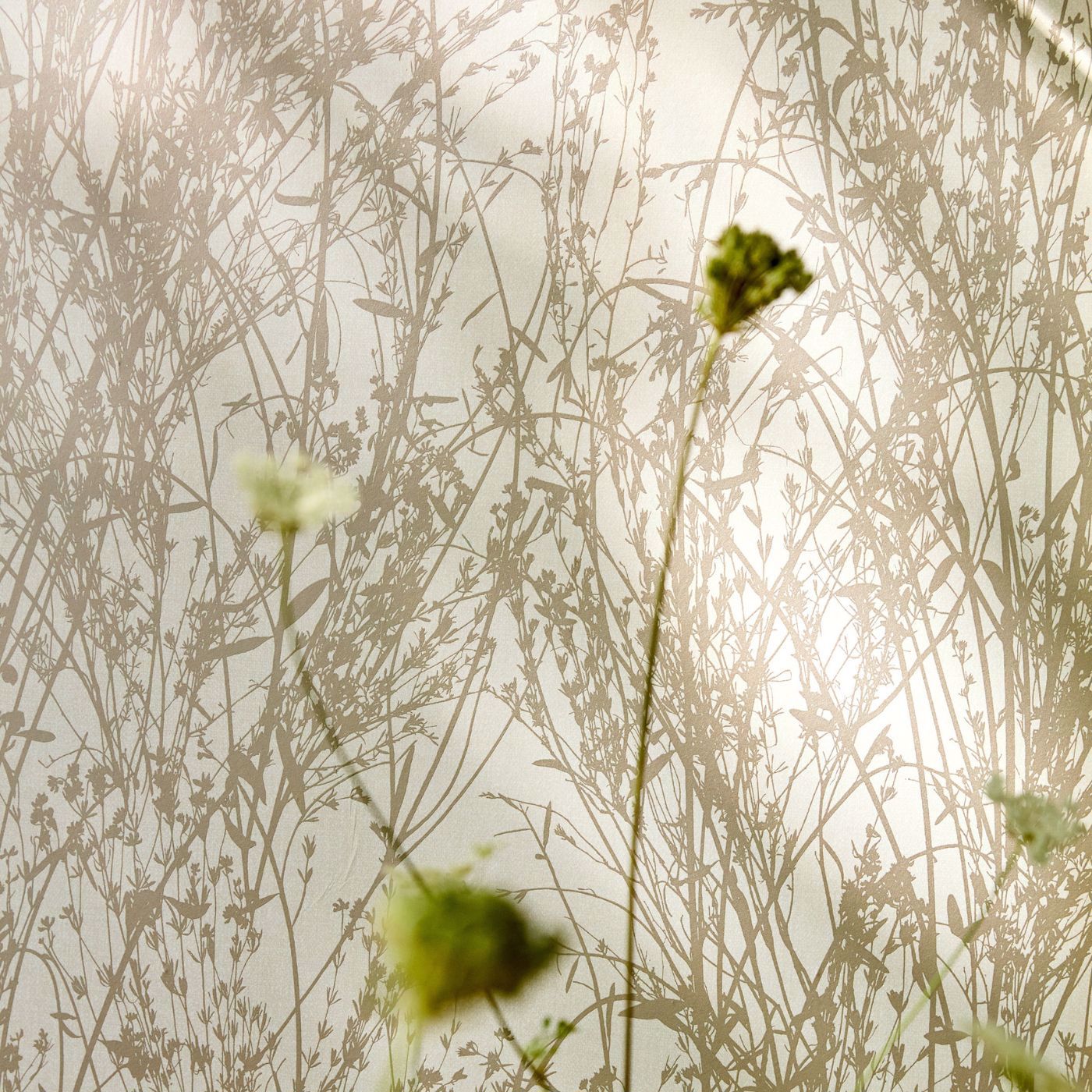 Meadow Canvas Gilver/Linen Wallpaper by SAN