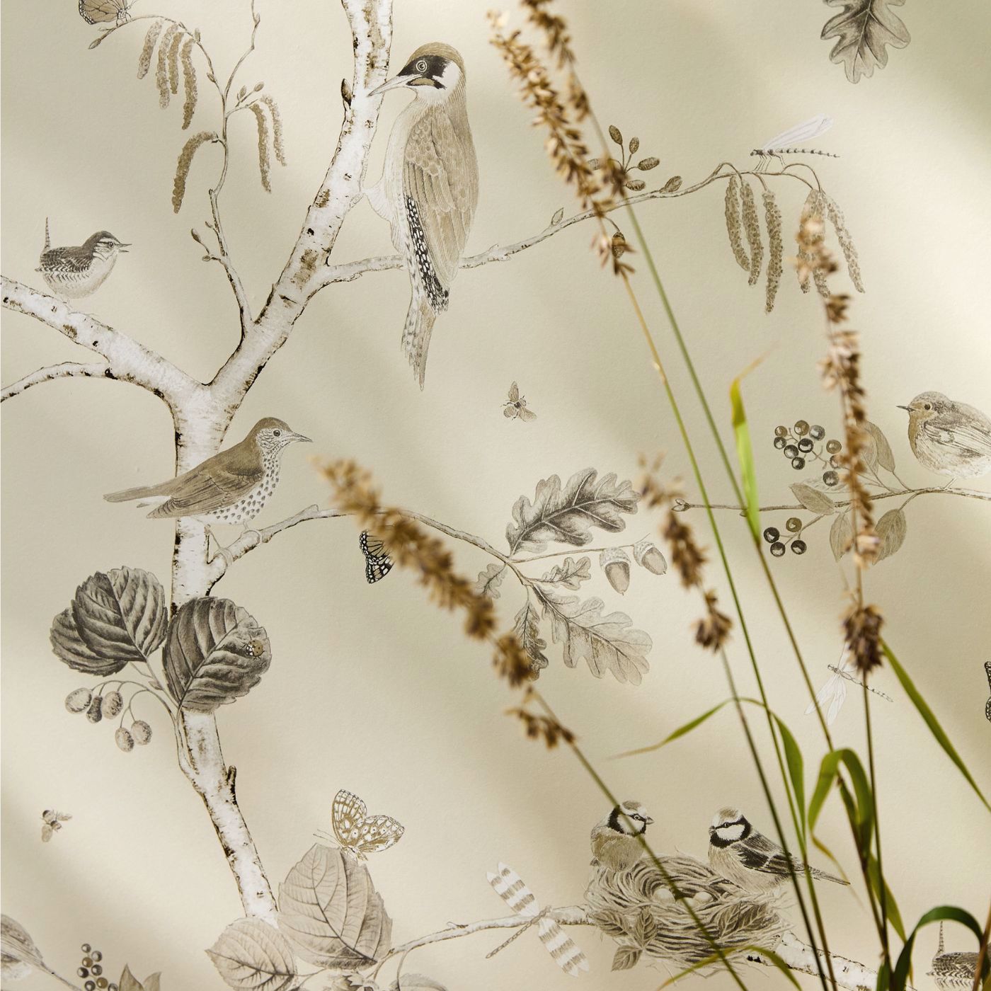 Woodland Chorus Sepia/Neutral Wallpaper by SAN