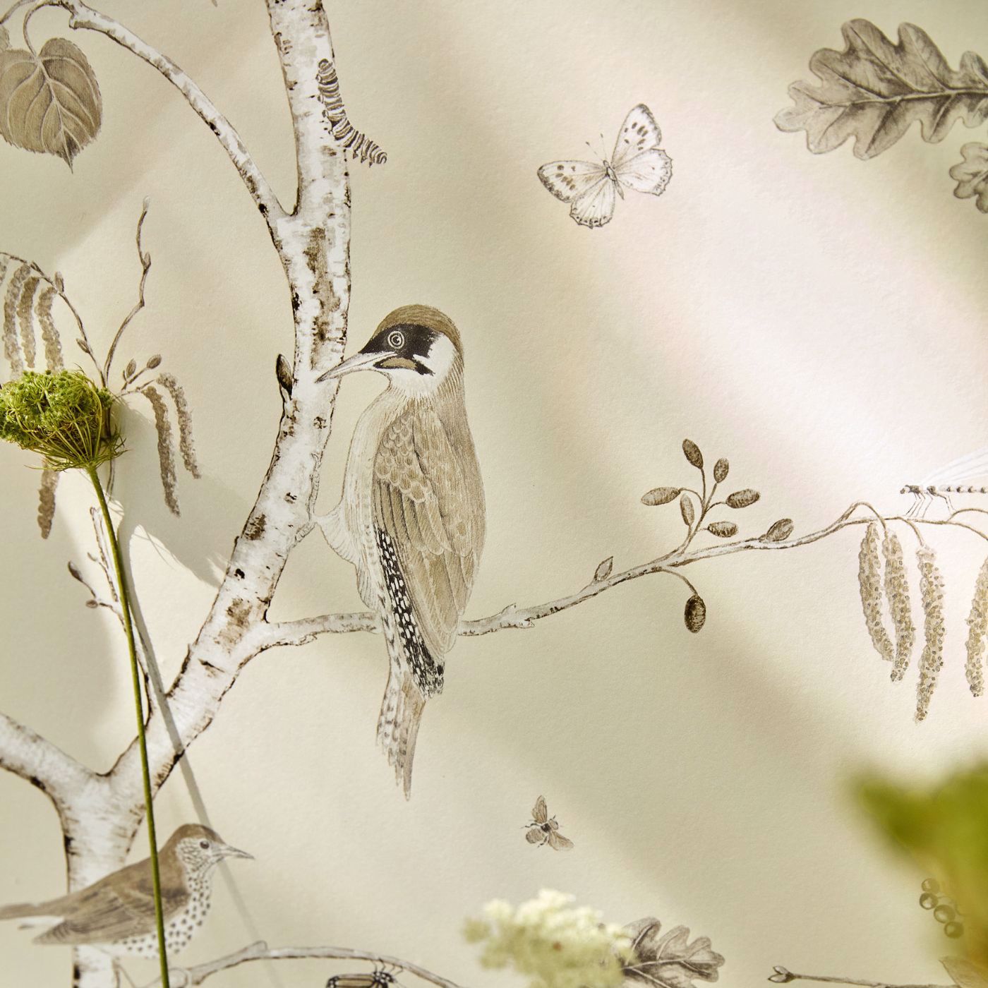 Woodland Chorus Sepia/Neutral Wallpaper by SAN