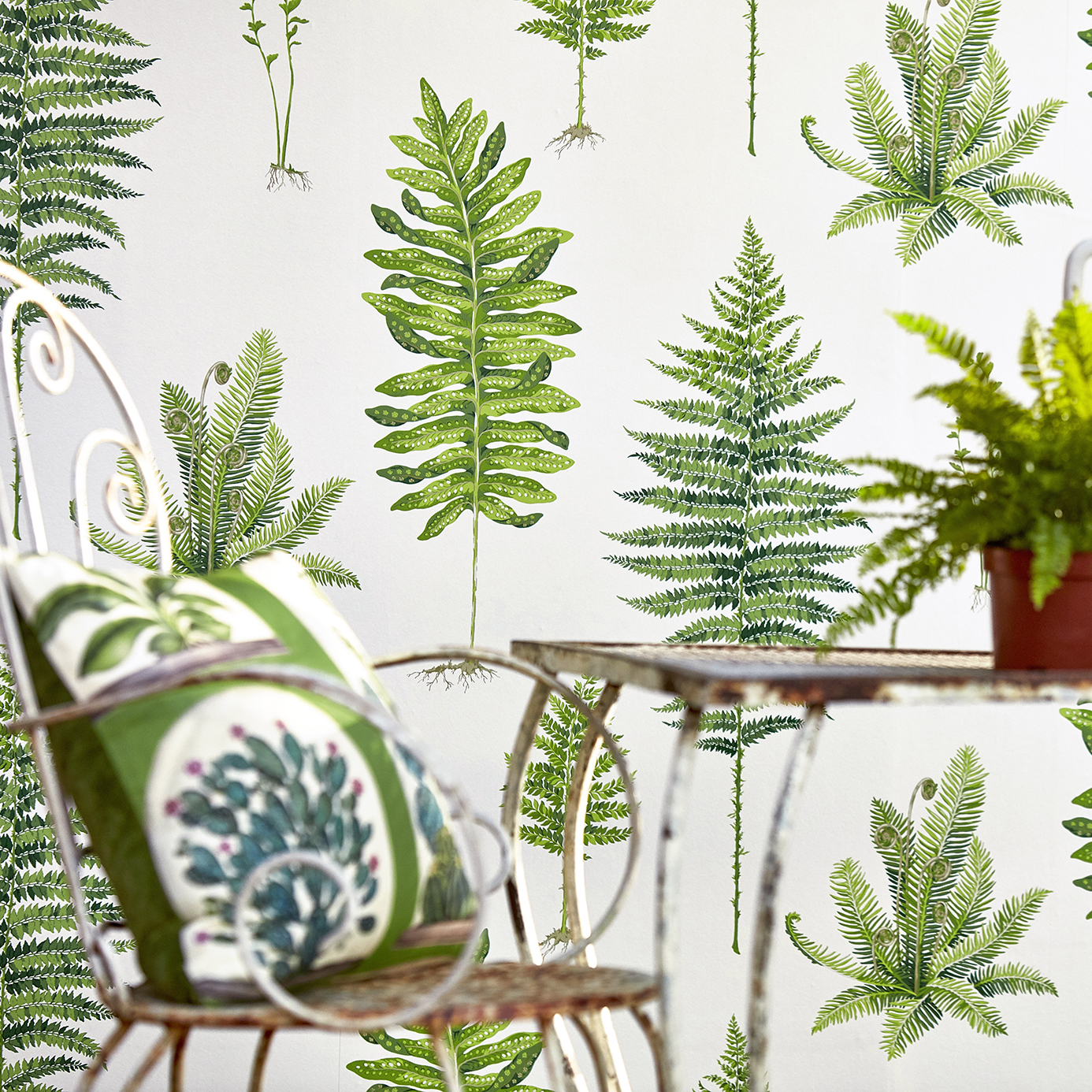 Fernery Botanical Green/Charcoal Wallpaper by SAN