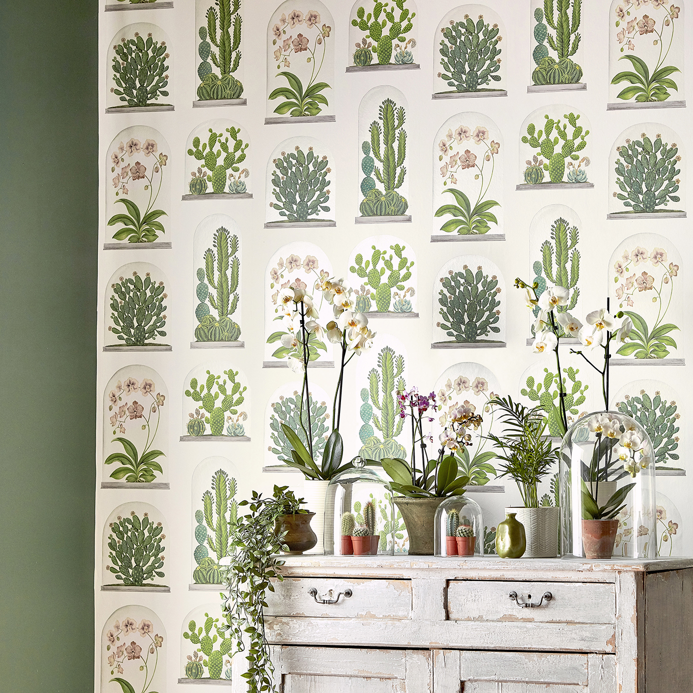 Terrariums Botanical Green/Multi Wallpaper by SAN