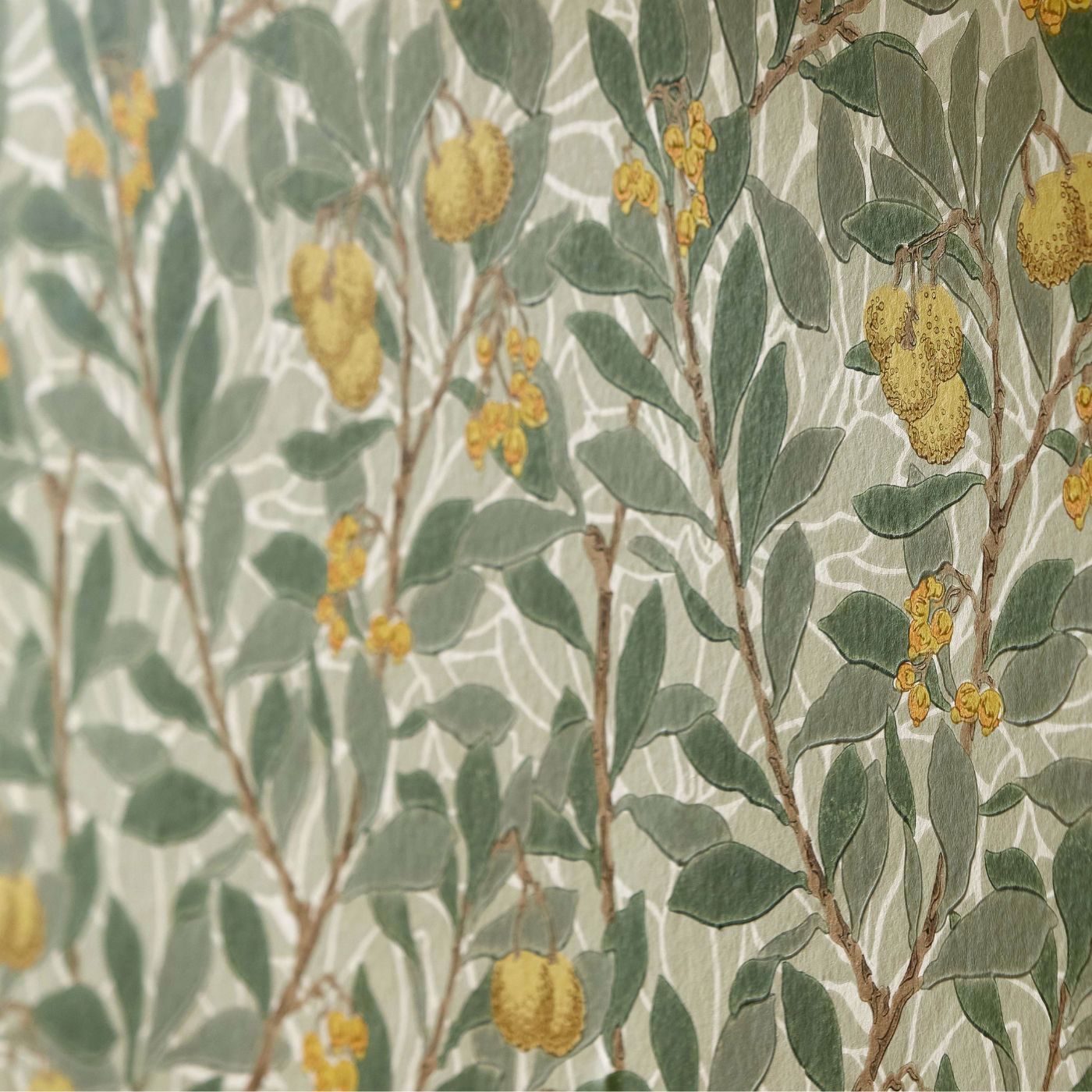 Arbutus Sage/Lemon Wallpaper by MOR