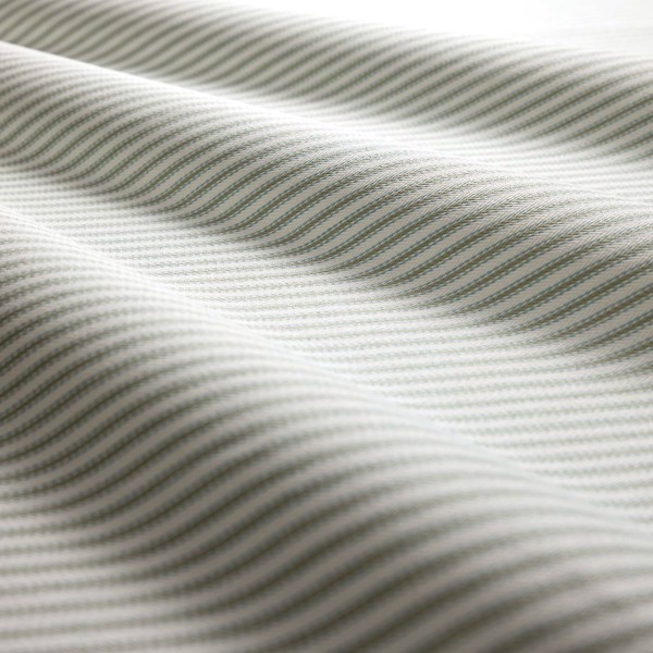 Robinia Eau De Nil Fabric by Clarke & Clarke