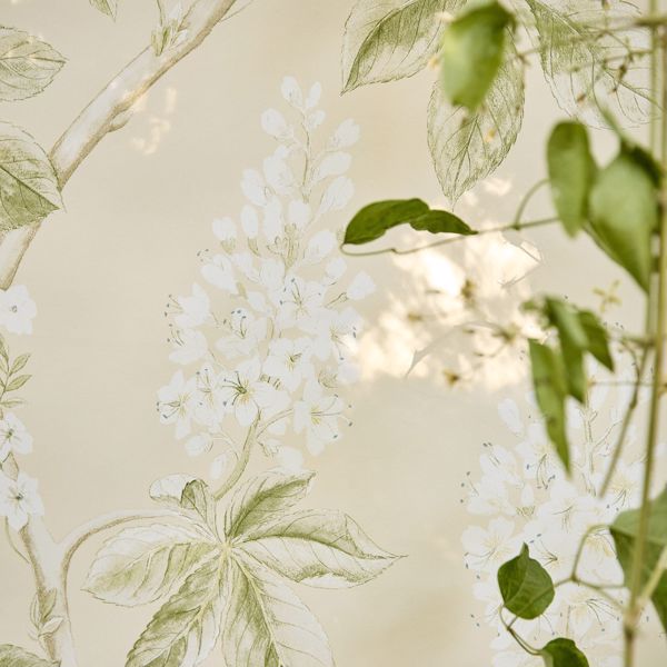 Chestnut Tree Lemon/Lettuce Wallpaper by Sanderson