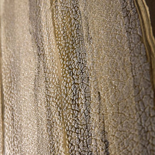 Anthology Vitruvius Gold / Basalt Wallpaper by Harlequin