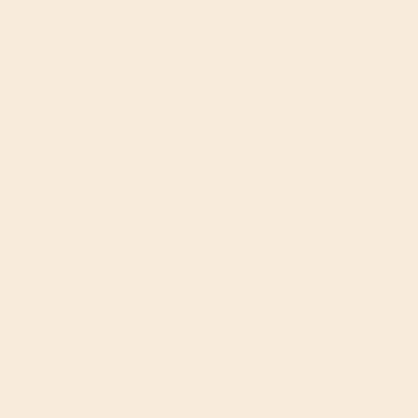 Paint Alabaster Paint by ZOF