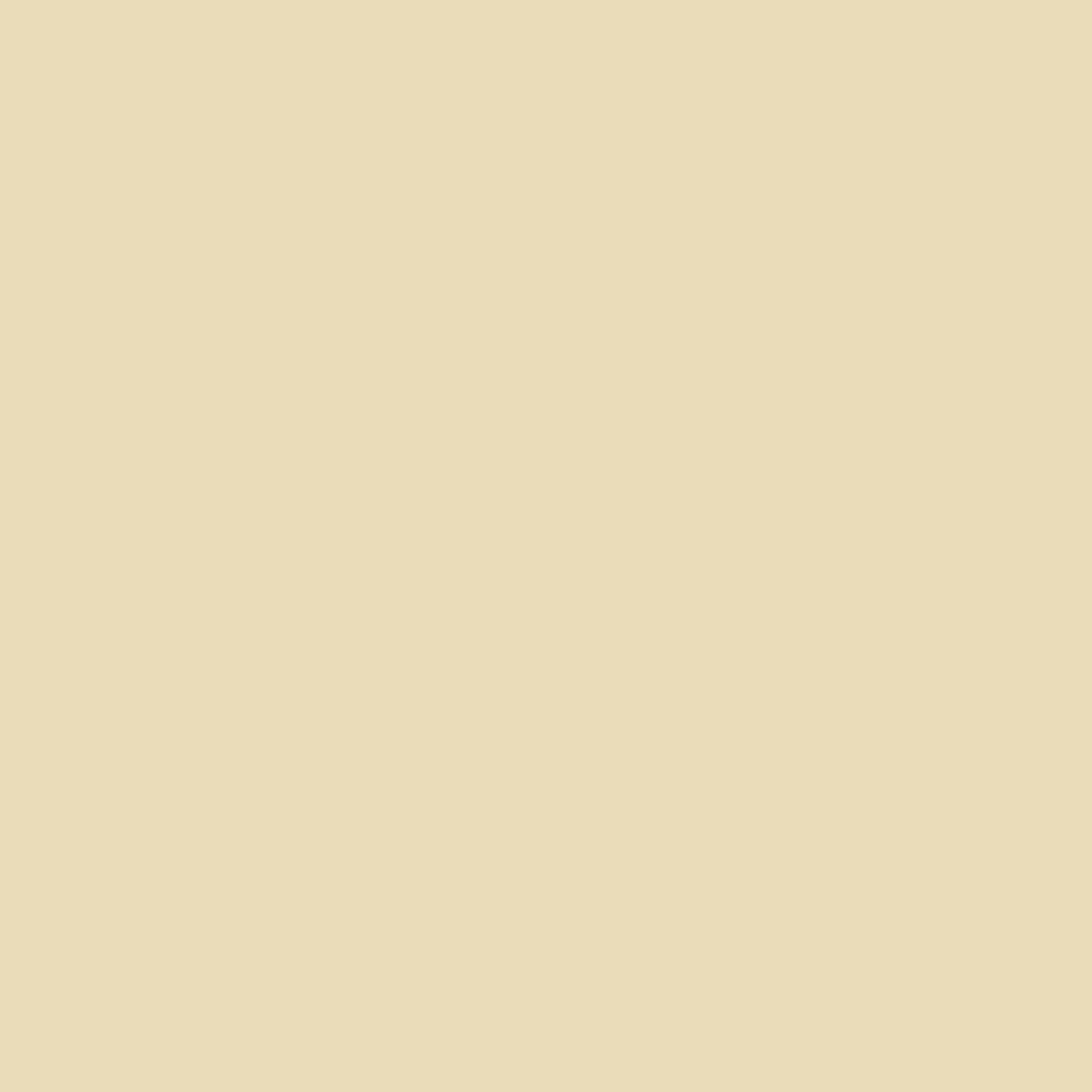 Zoffany Paint - Acrylic/Water Based Eggshell Cream Cream Paint by ZOF