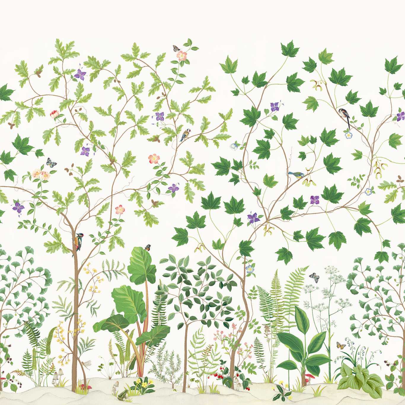 Sycamore and Oak Botanical Green Wallpaper by SAN