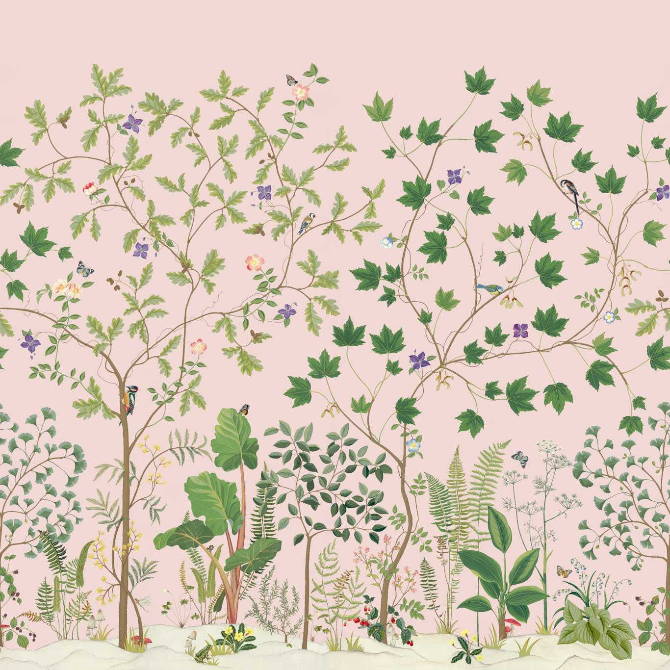 Sycamore and Oak Wild Rose Wallpaper by SAN