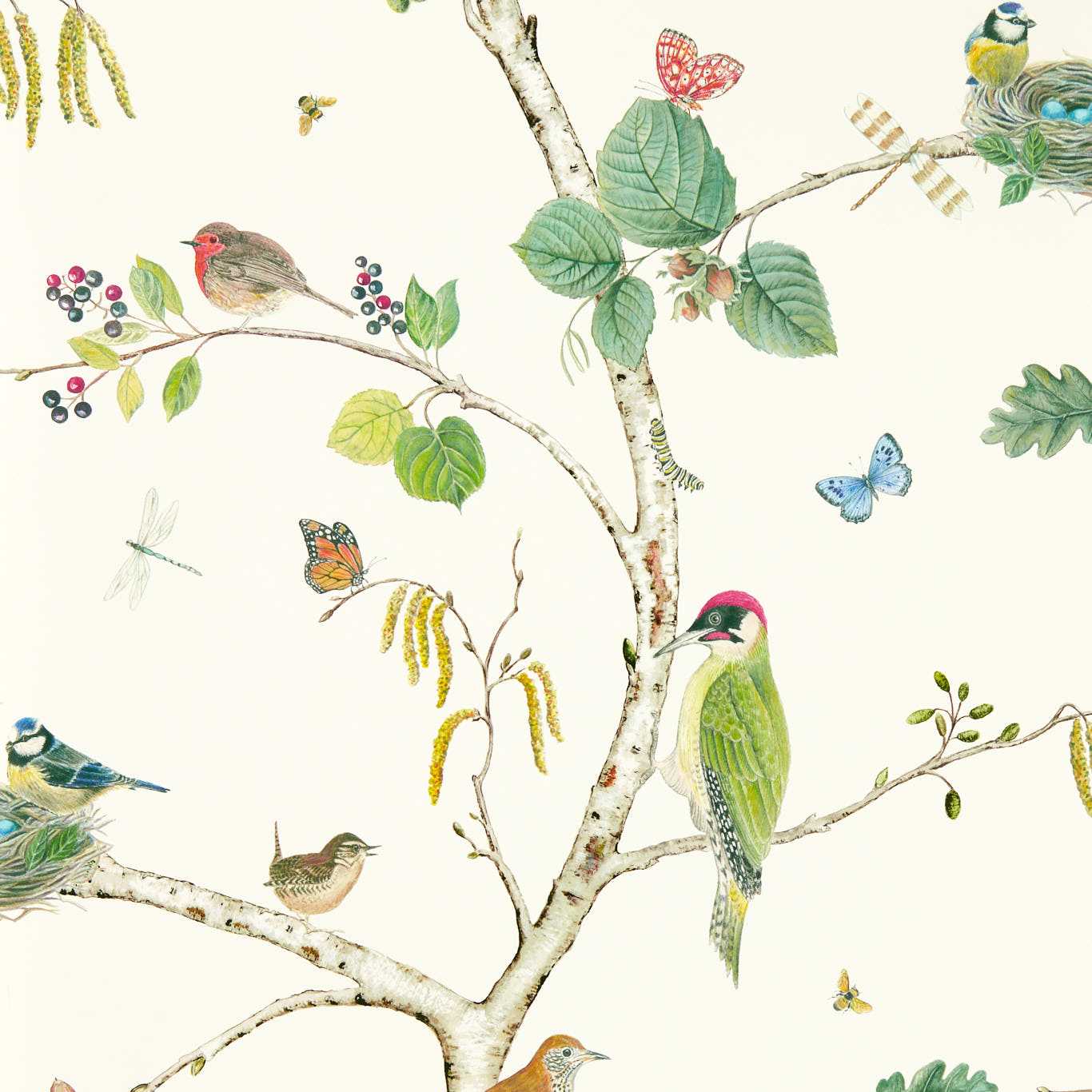 Woodland Chorus Botanical/Multi Wallpaper by SAN
