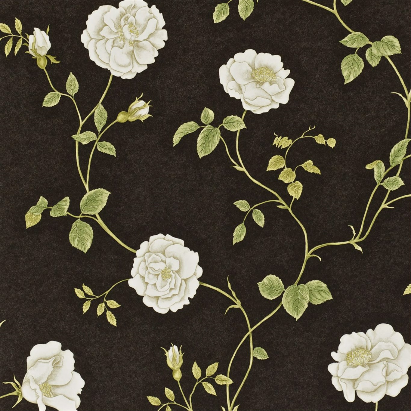 Rosalie Ebony/Thyme Wallpaper by SAN