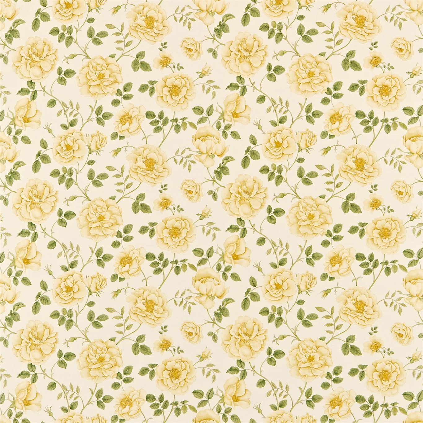 Rosalie Parchment/Yellow Fabric | Sanderson by Sanderson Design