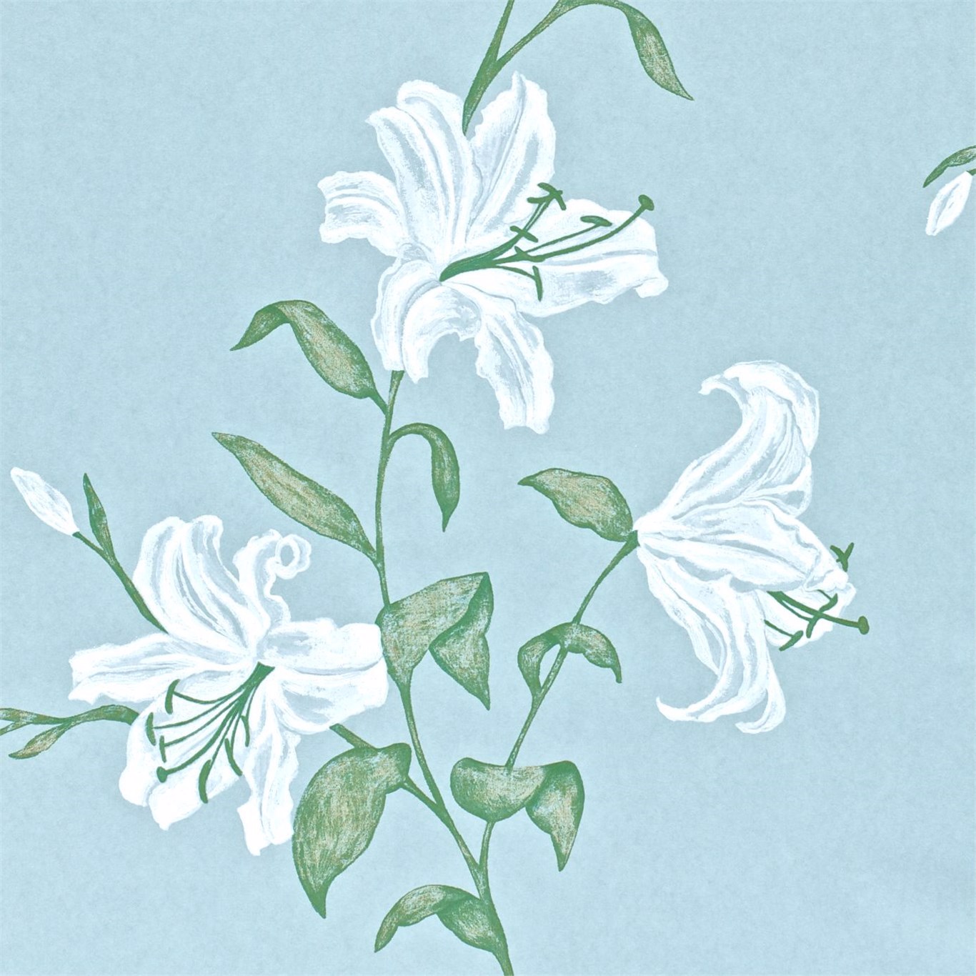Serena Wedgwood/Ivory Wallpaper by SAN