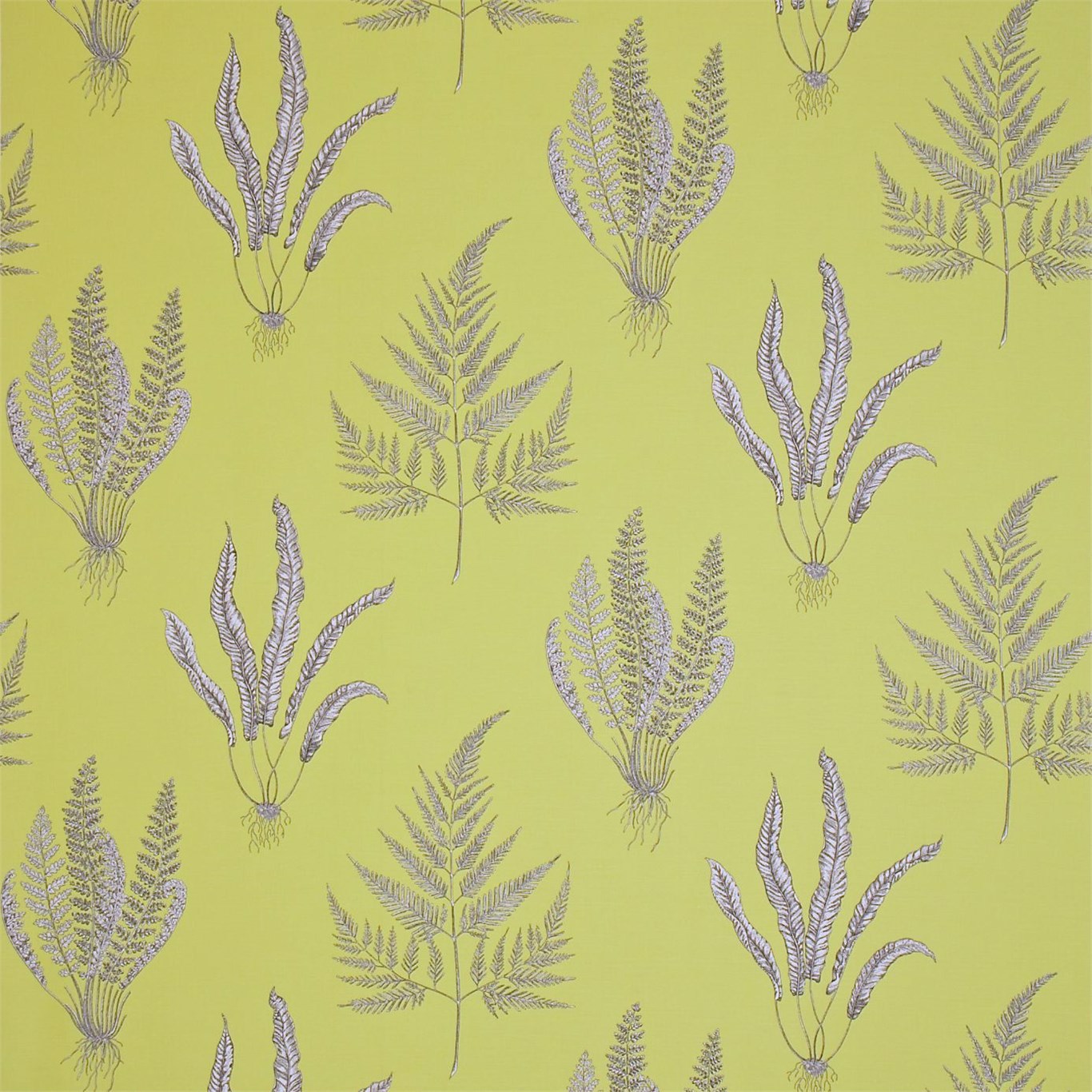 Woodland Ferns Chartreuse Fabric by SAN