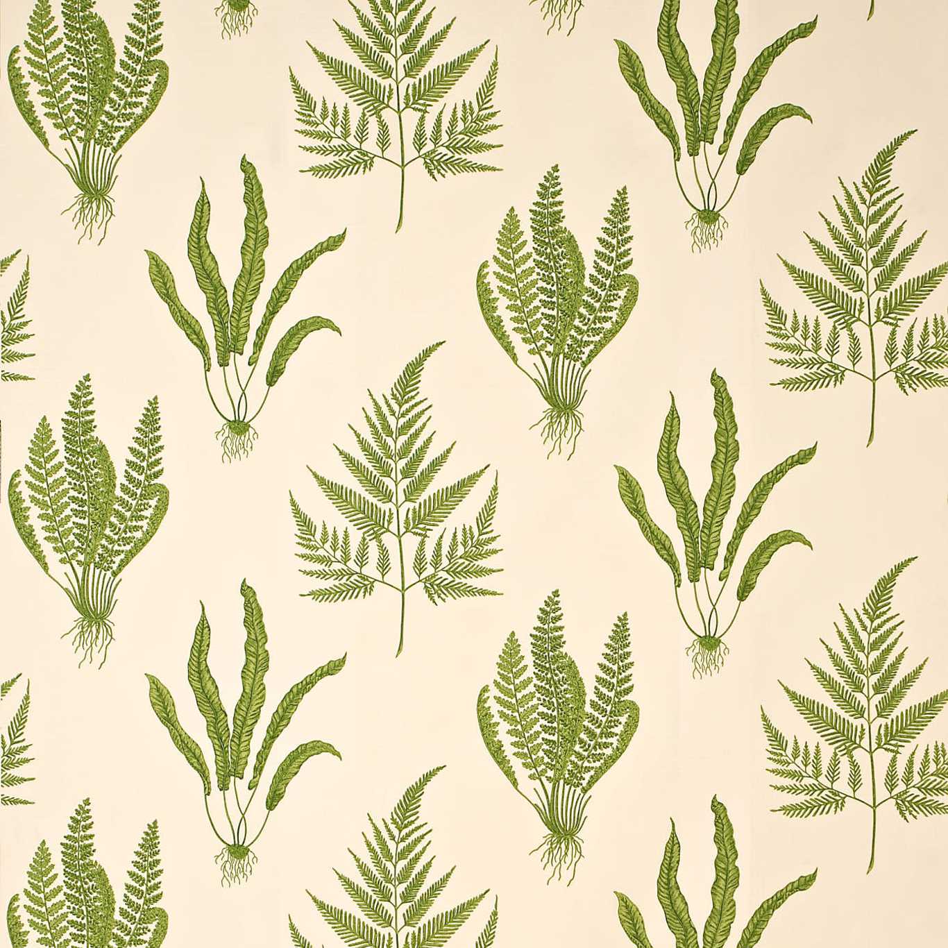 Woodland Ferns Green Fabric by SAN