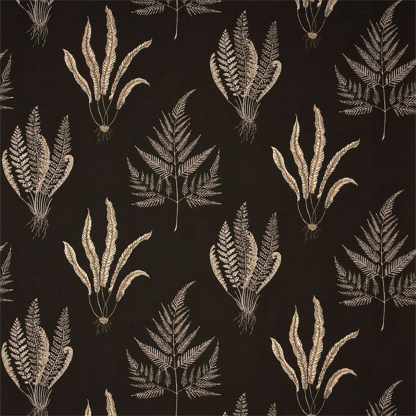 Woodland Ferns Charcoal Fabric by SAN