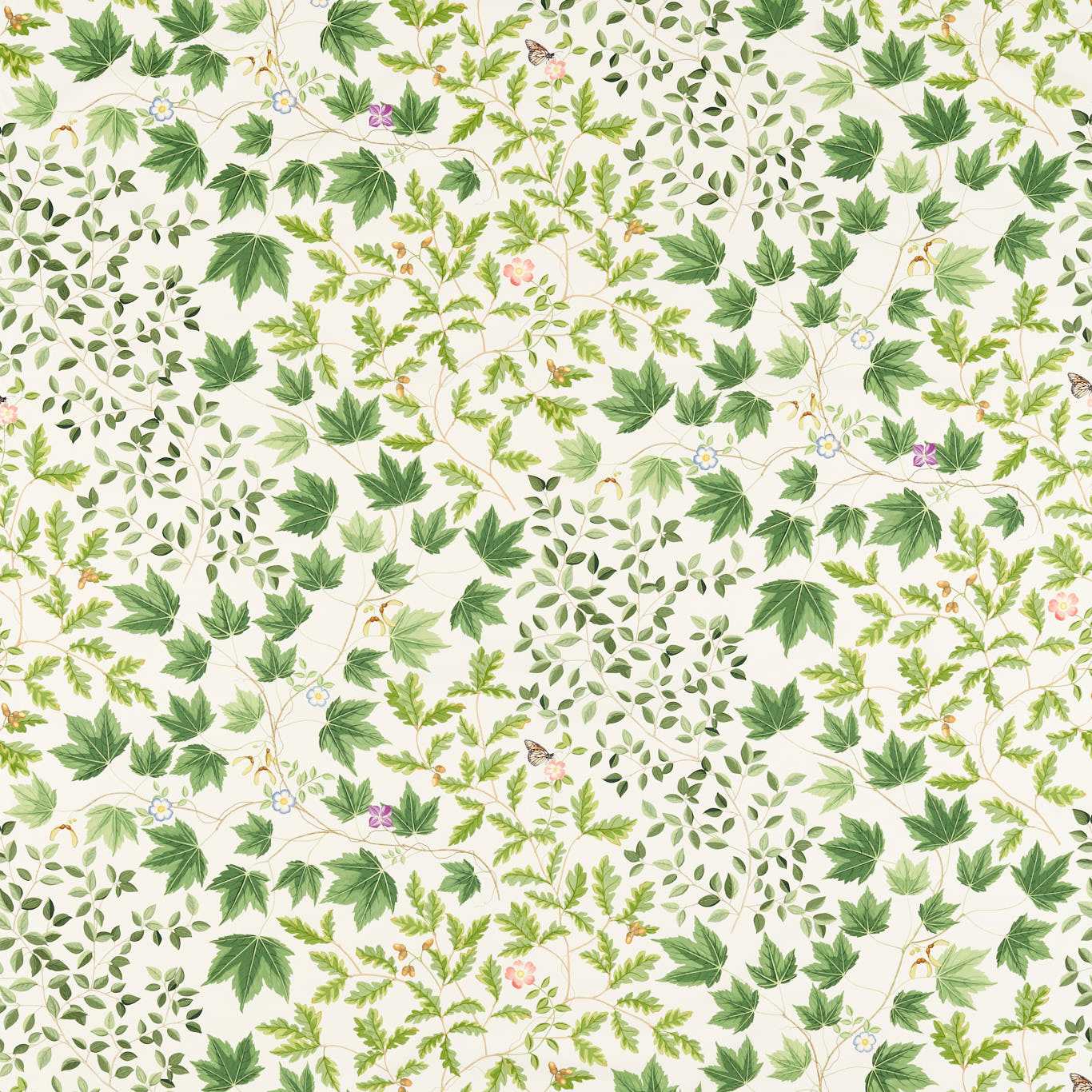 Sycamore and Oak Botanical Green Fabric by SAN