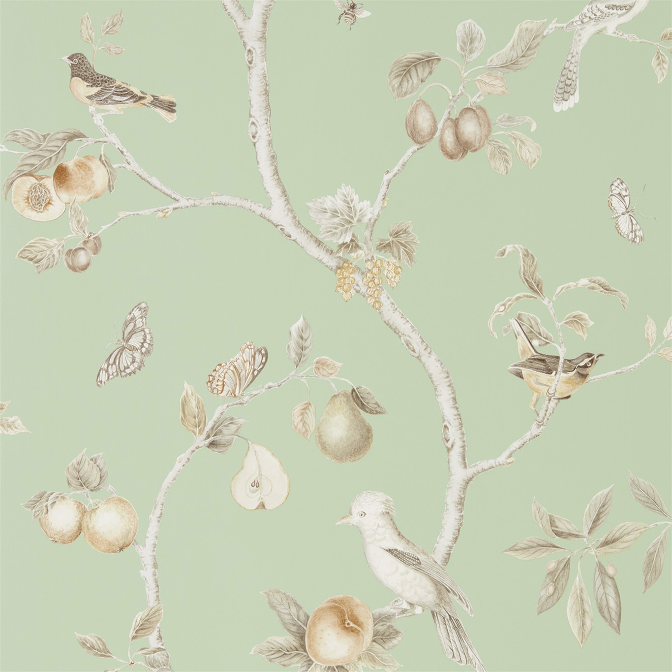 Fruit Aviary Sage/Neutral Wallpaper by SAN