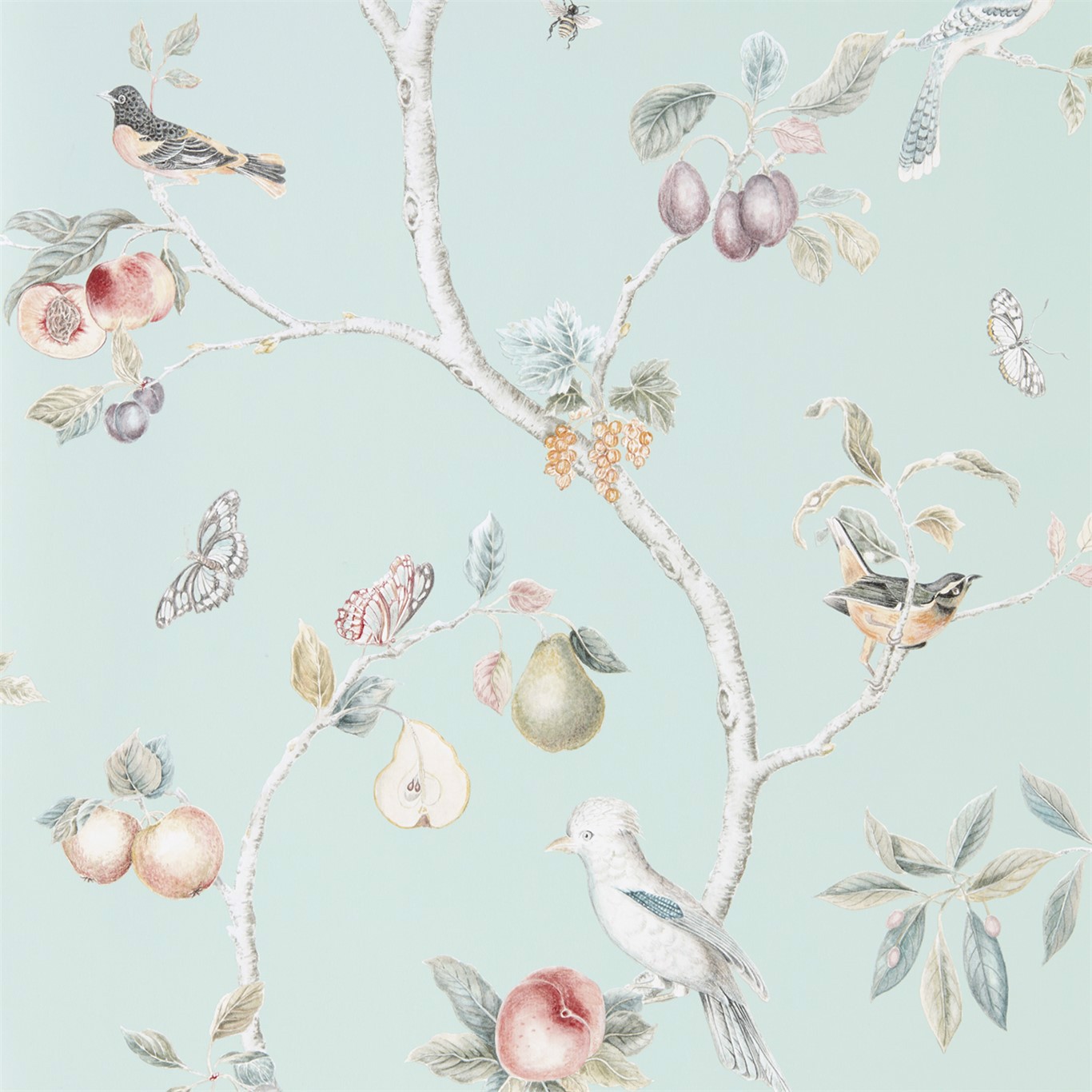 Fruit Aviary Duck Egg/Multi Wallpaper by SAN