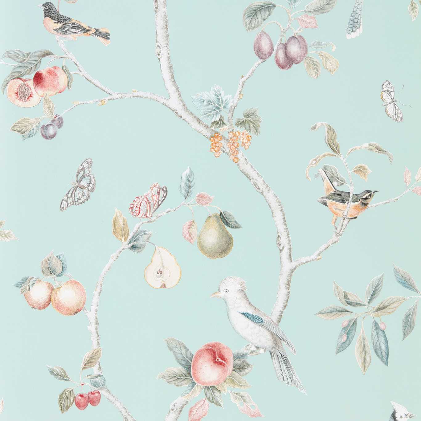 Fruit Aviary Duck Egg/Multi Wallpaper by SAN