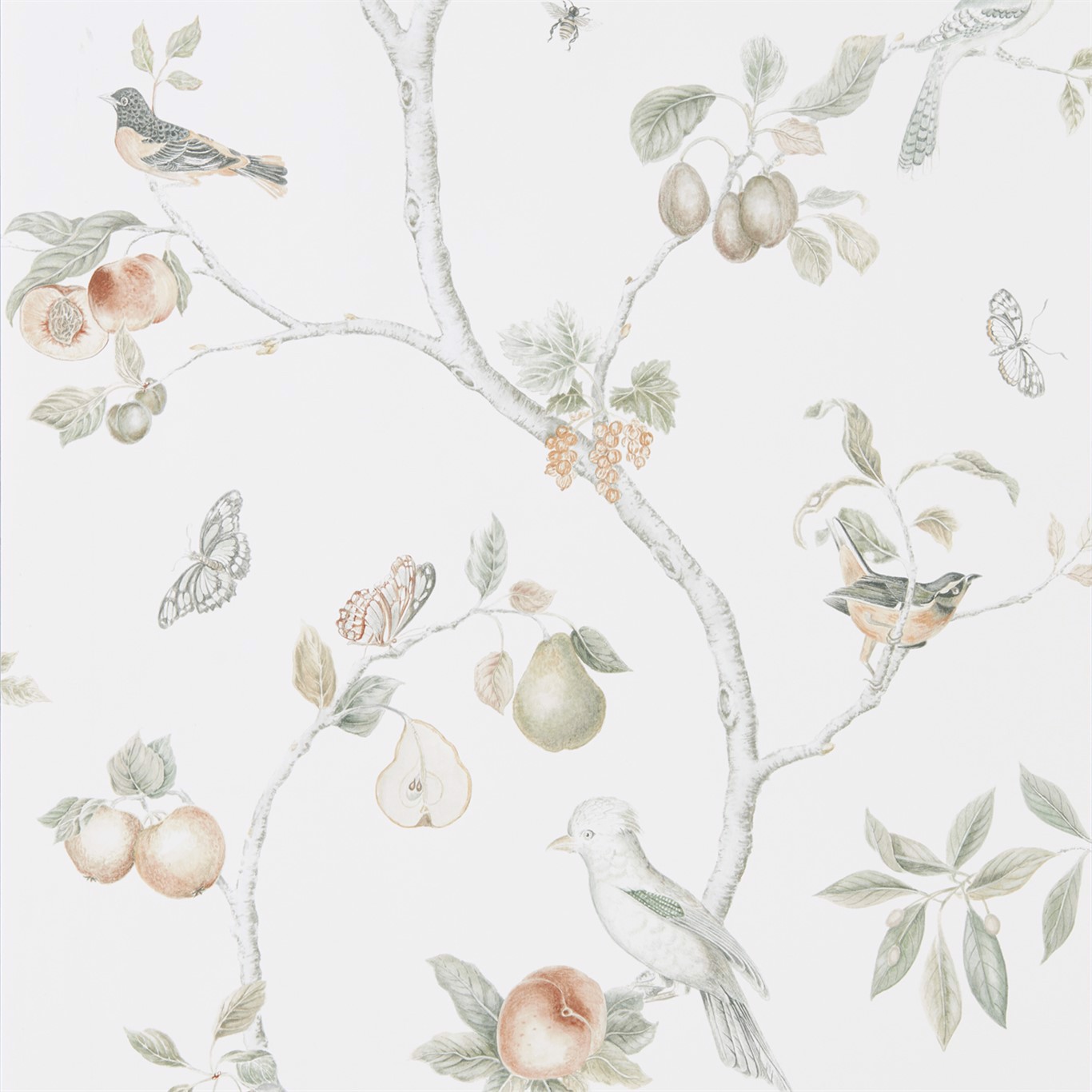 Fruit Aviary Ivory/Mineral Wallpaper by SAN
