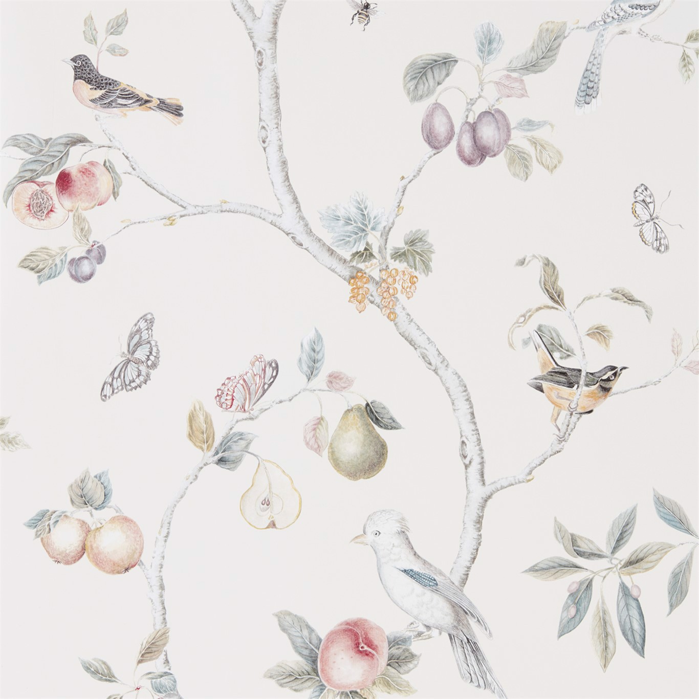 Fruit Aviary Cream/Multi Wallpaper by SAN