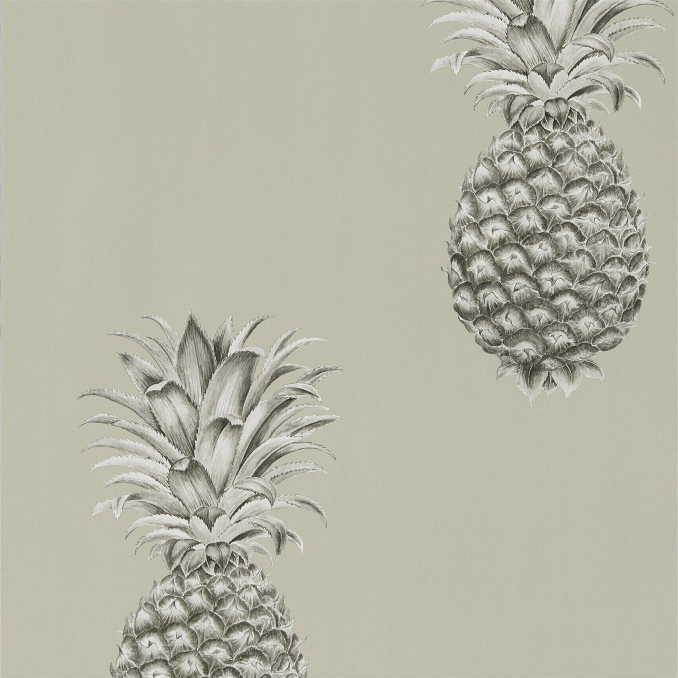 Pineapple Royale Charcoal/Champagne Wallpaper by SAN