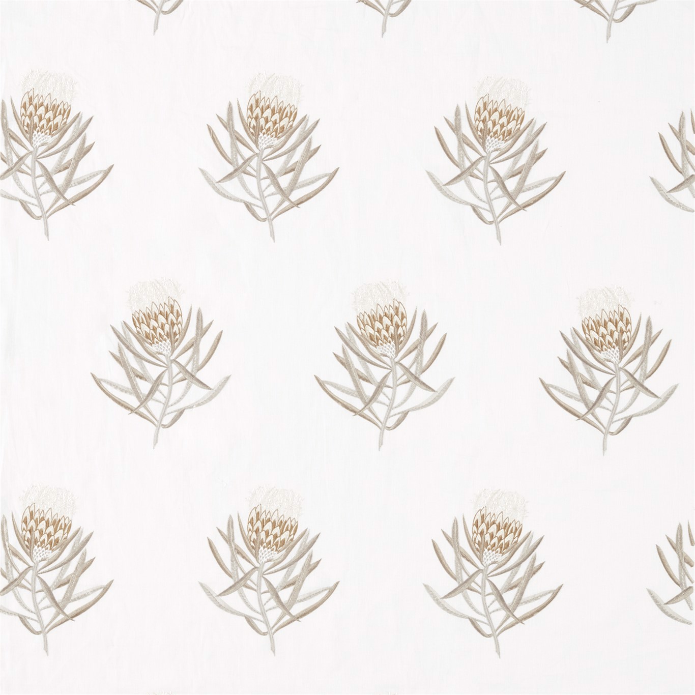 Protea Flower Gold Fabric by SAN