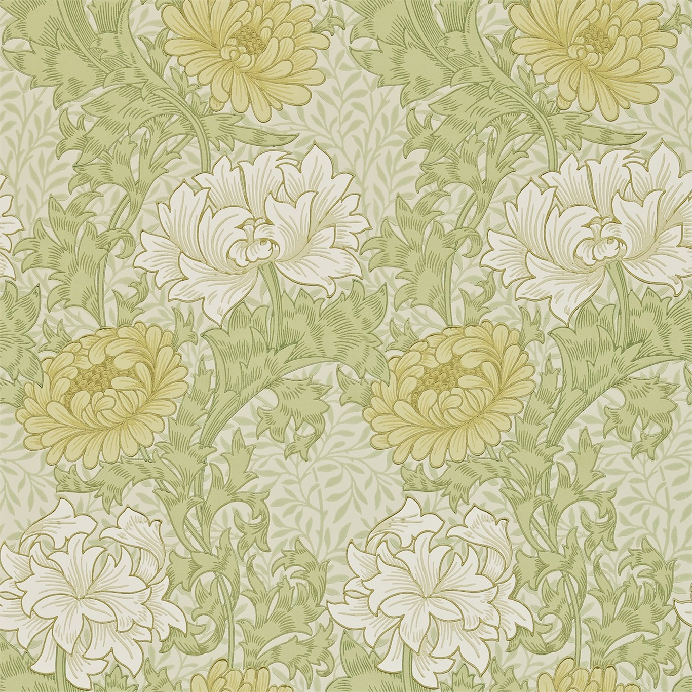 Chrysanthemum Pale Olive Wallpaper by MOR