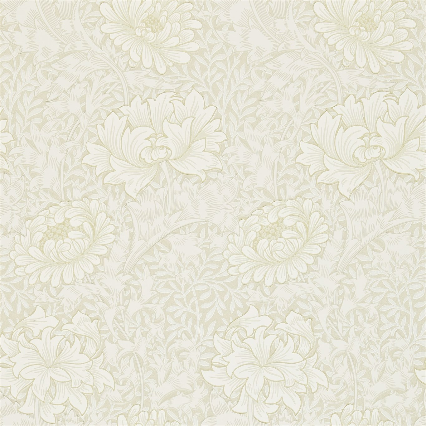 Chrysanthemum Chalk Wallpaper by MOR