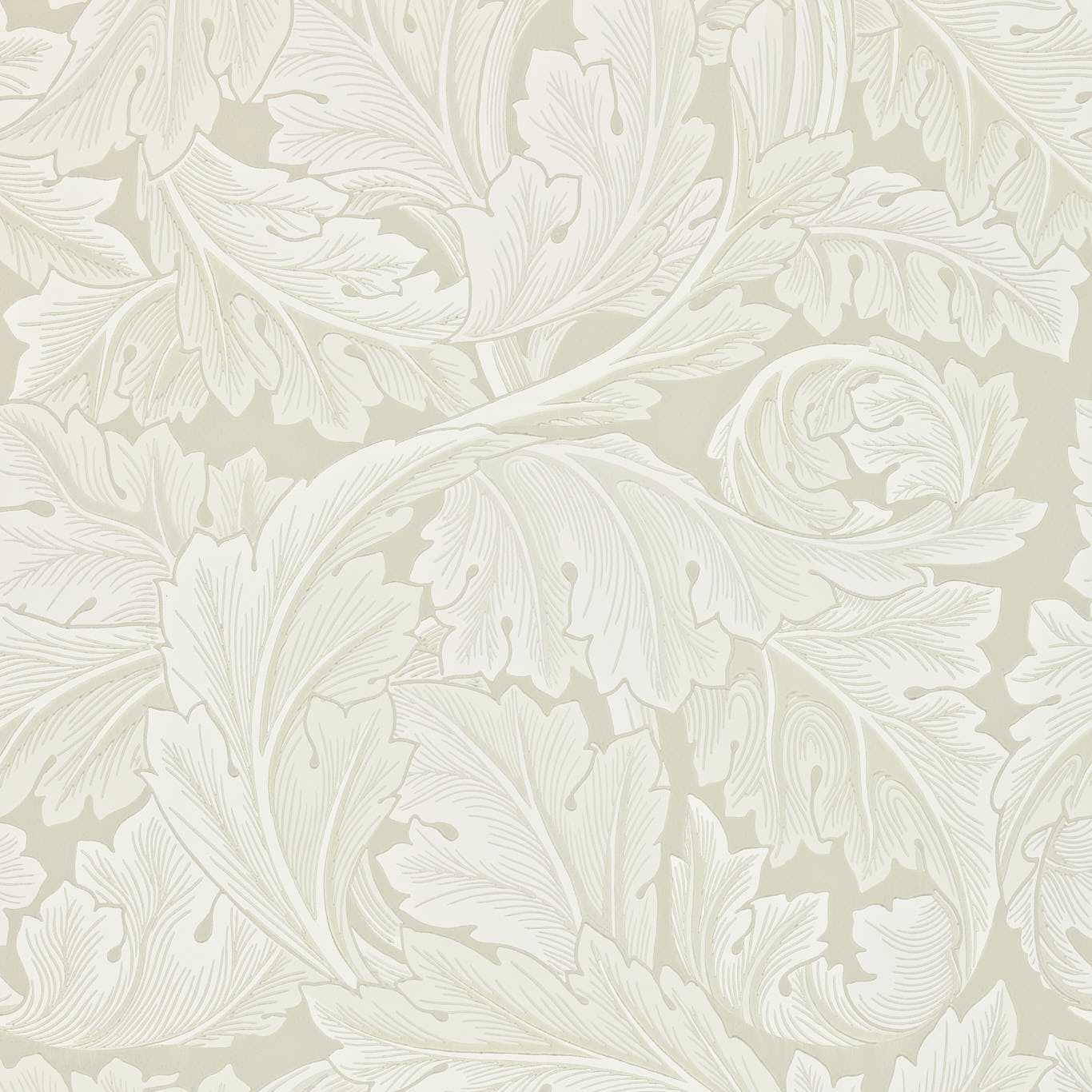 Acanthus Chalk Wallpaper by MOR