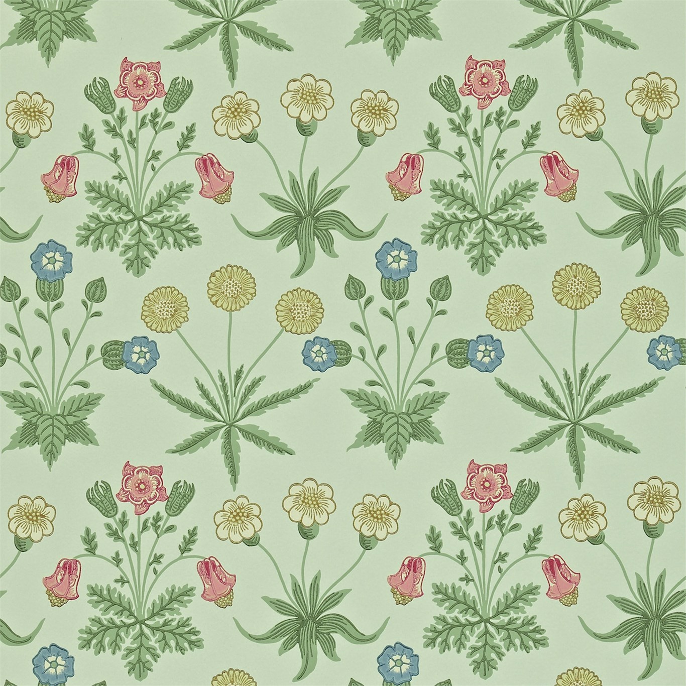 Daisy Pale Green/Rose Wallpaper by MOR
