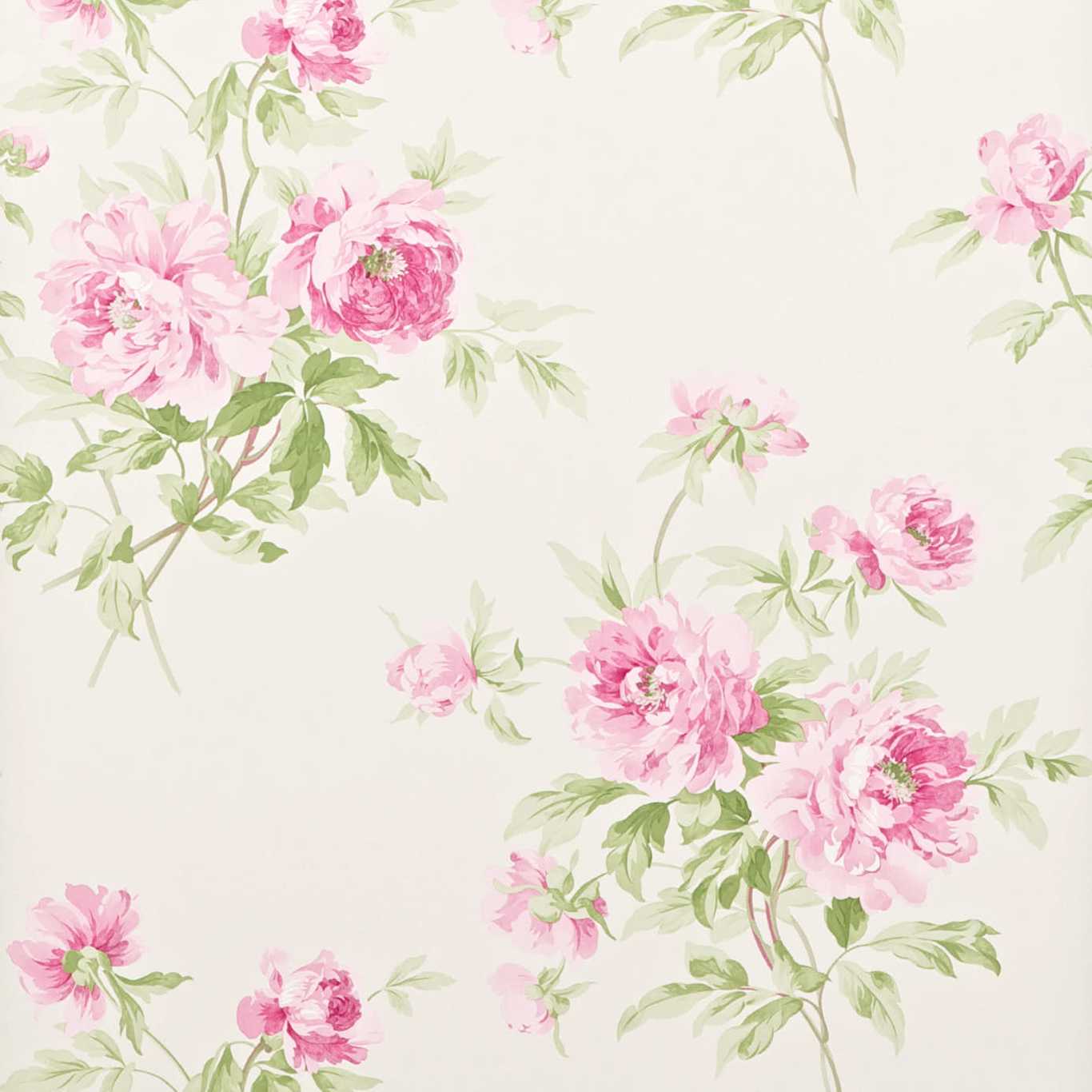 Adele Raspberry/Ivory Wallpaper by SAN