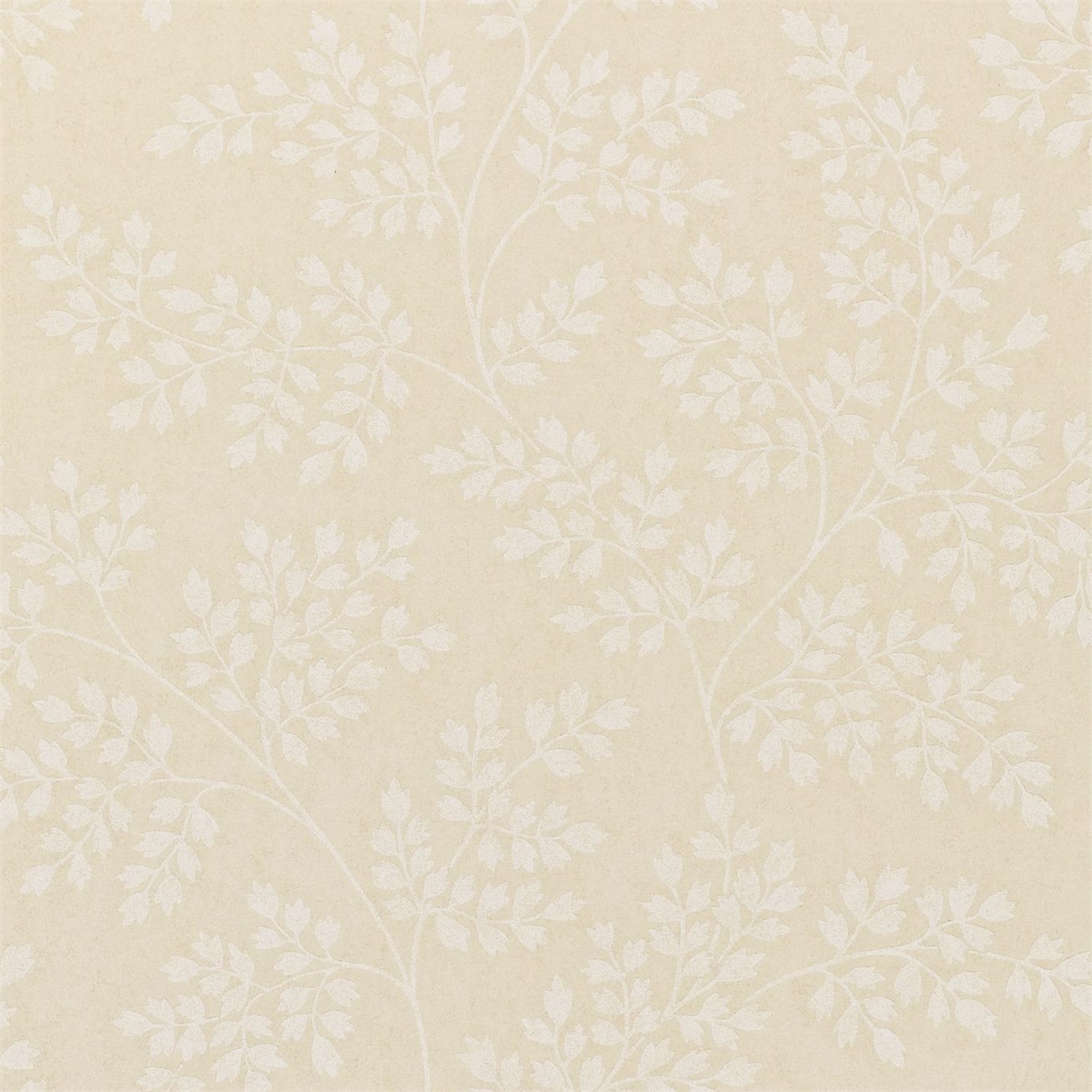Coralie Shell/Ivory Wallpaper by SAN