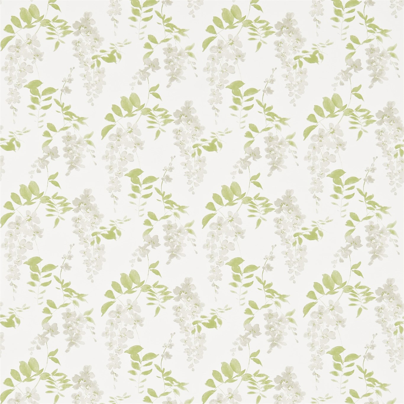 Wisteria Blossom Silver/Apple Wallpaper by SAN