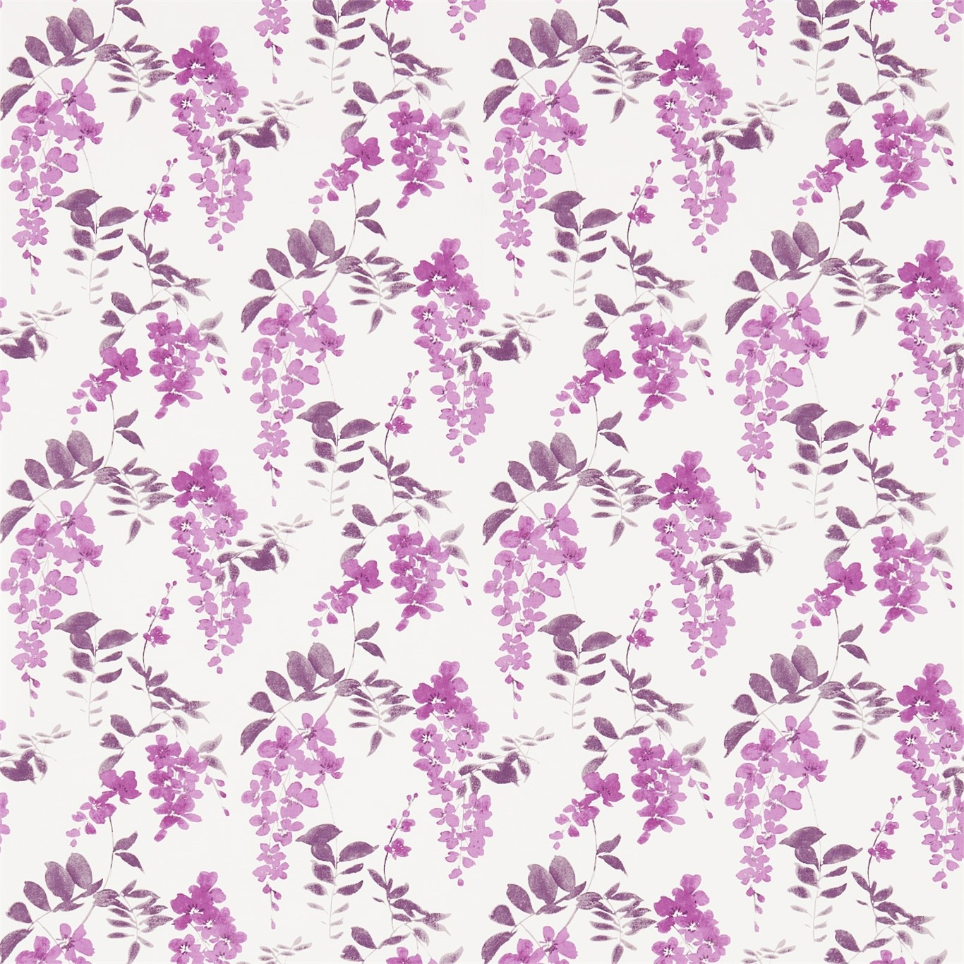 Wisteria Blossom Berry/Plum Wallpaper by SAN