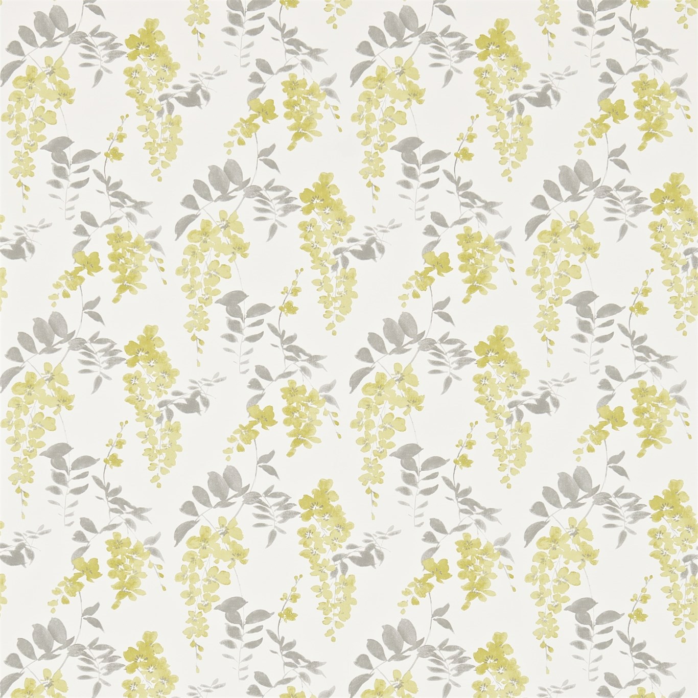 Wisteria Blossom Linden/Charcoal Wallpaper by SAN