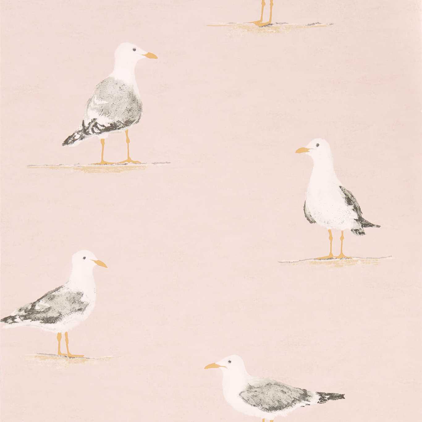 Shore Birds Blush Wallpaper by SAN