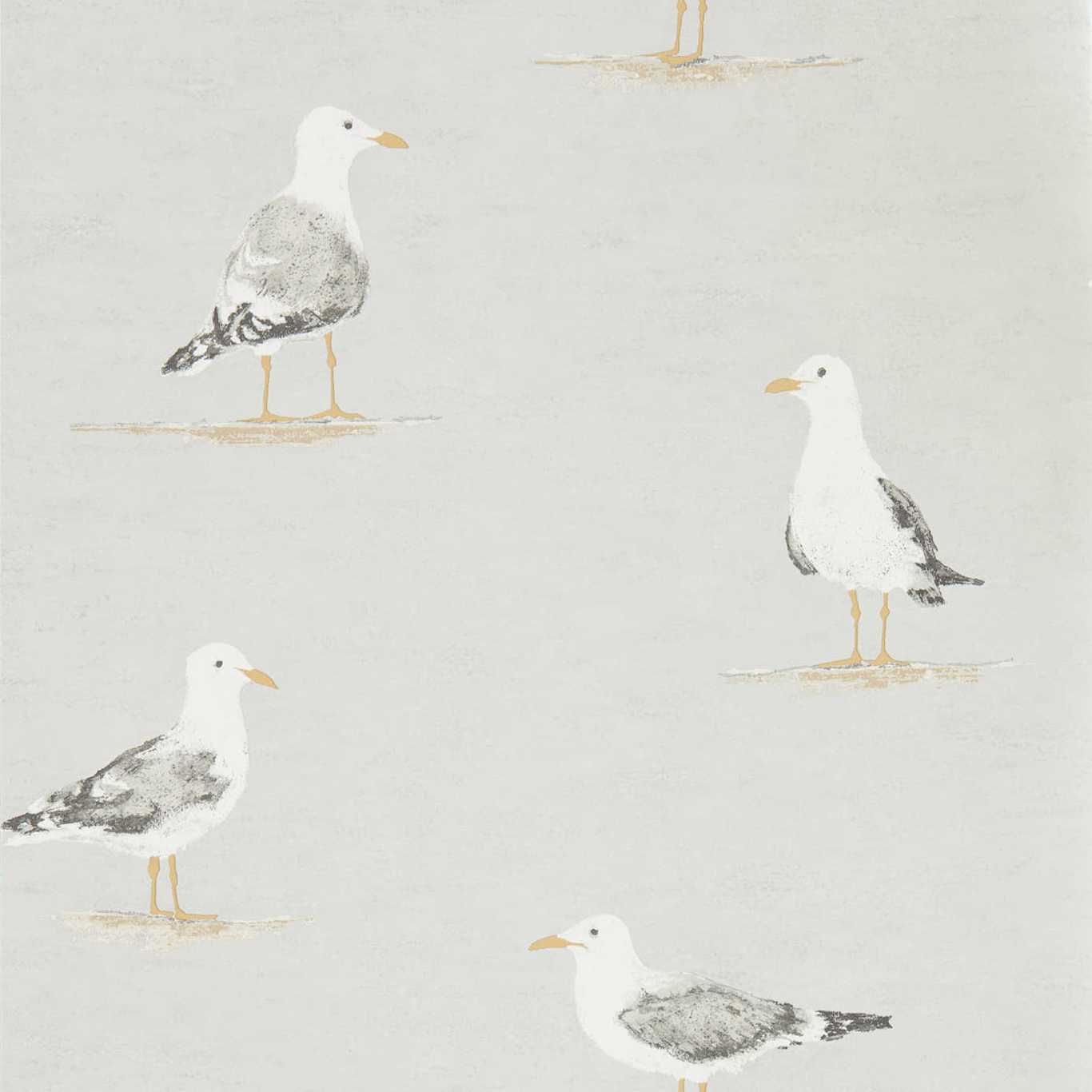 Shore Birds Gull Wallpaper by SAN