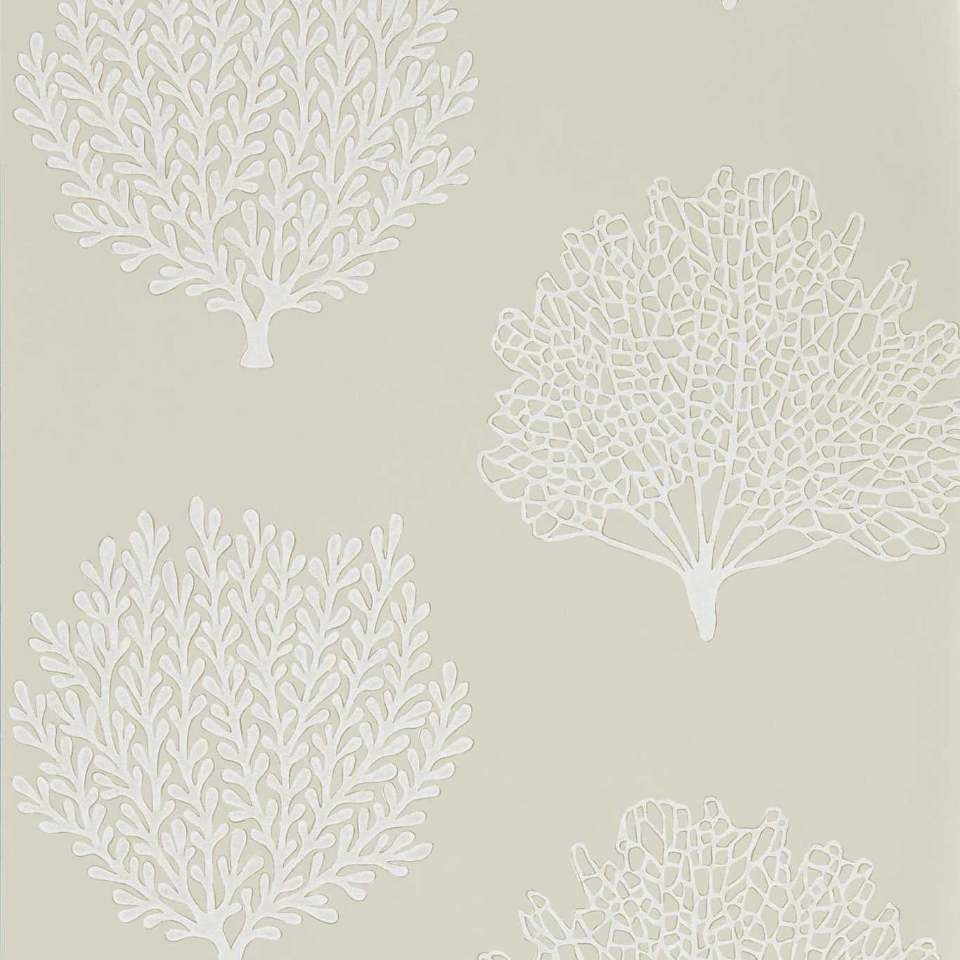 Coraline Driftwood Wallpaper by SAN