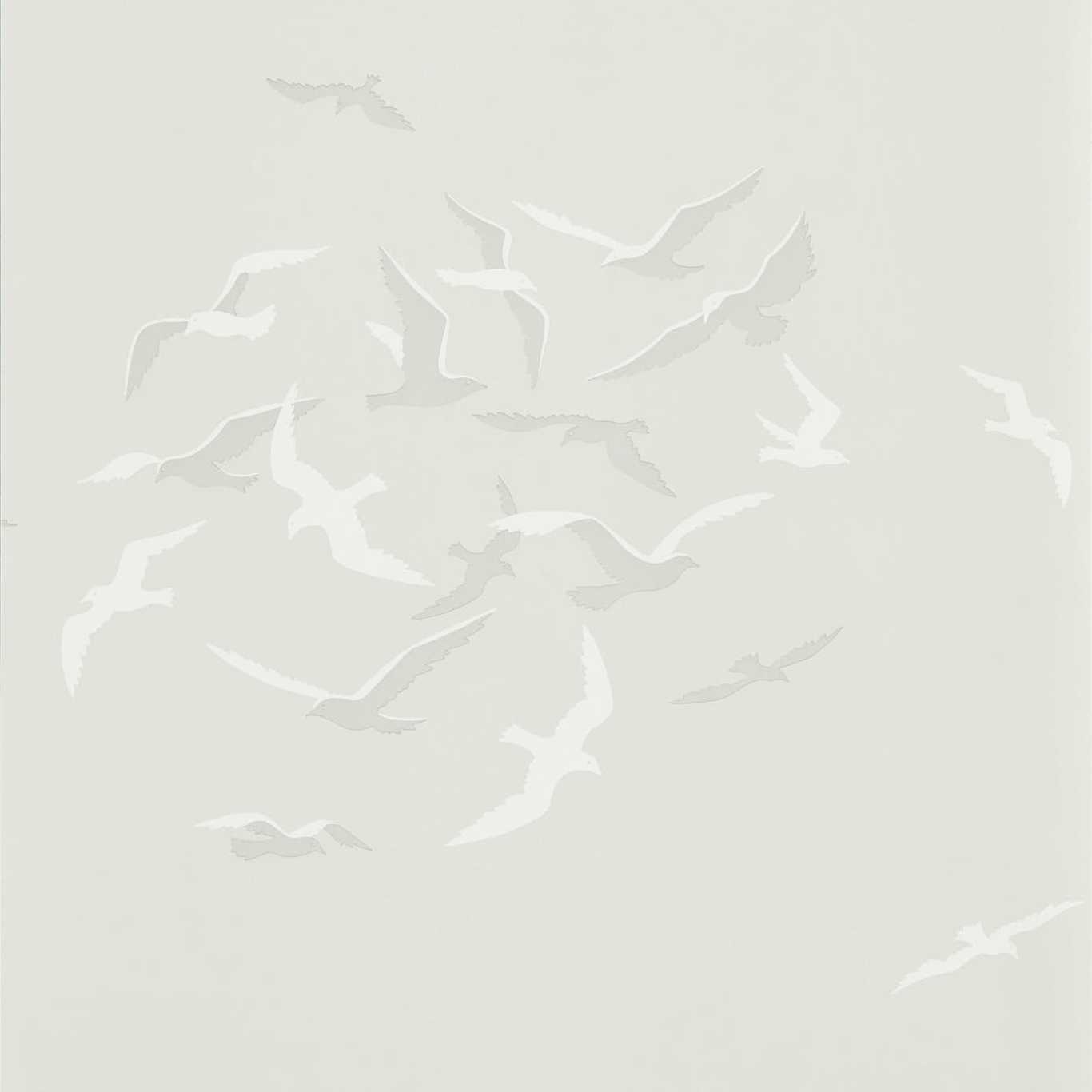 Larina Gull Wallpaper by SAN