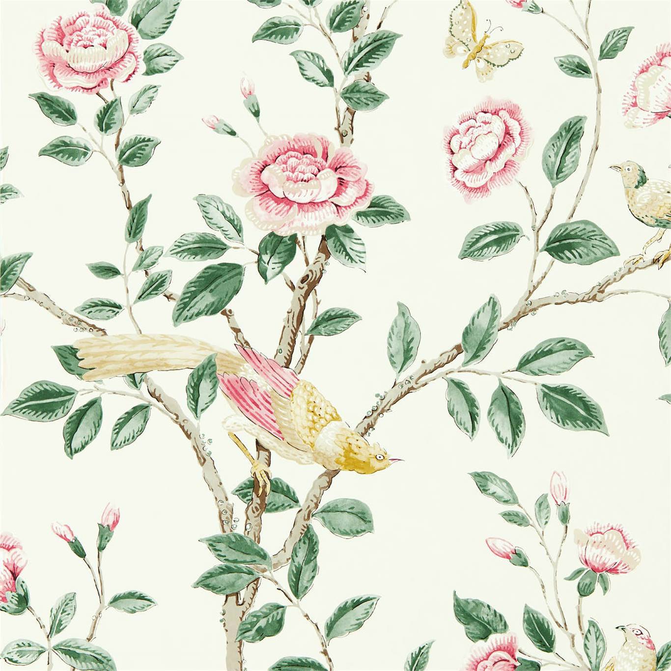 Andhara Rose/Cream Wallpaper by SAN