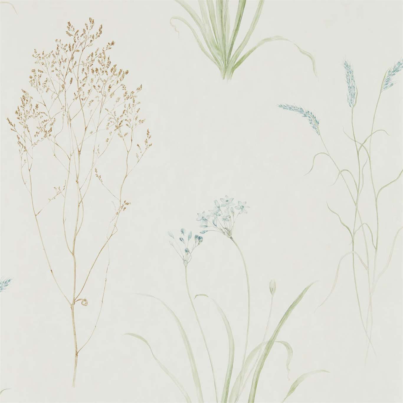 Farne Grasses Cream/Sage Wallpaper by SAN