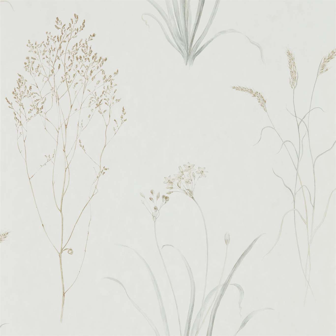Farne Grasses Silver/Ivory Wallpaper by SAN