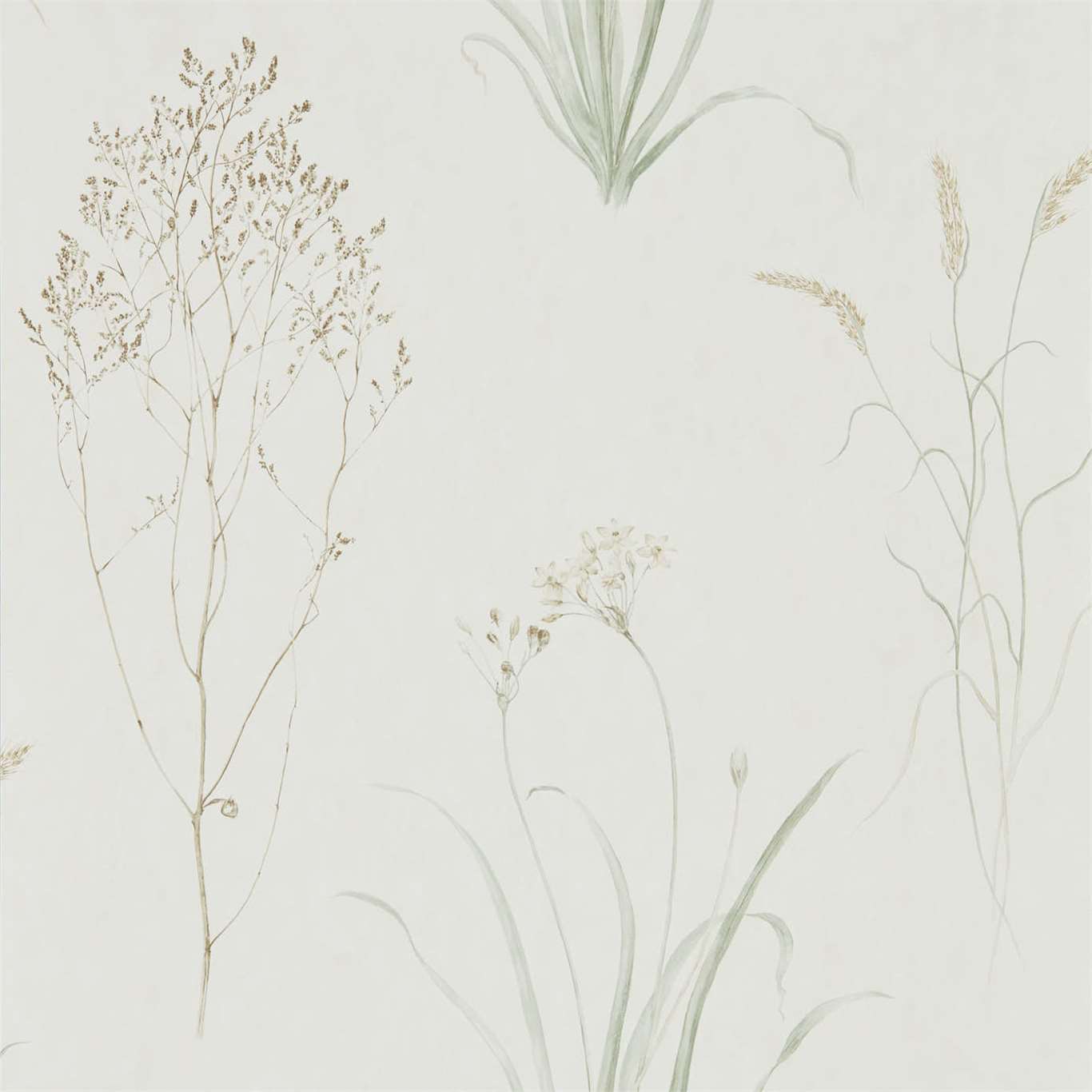 Farne Grasses Willow/Pebble Wallpaper by SAN