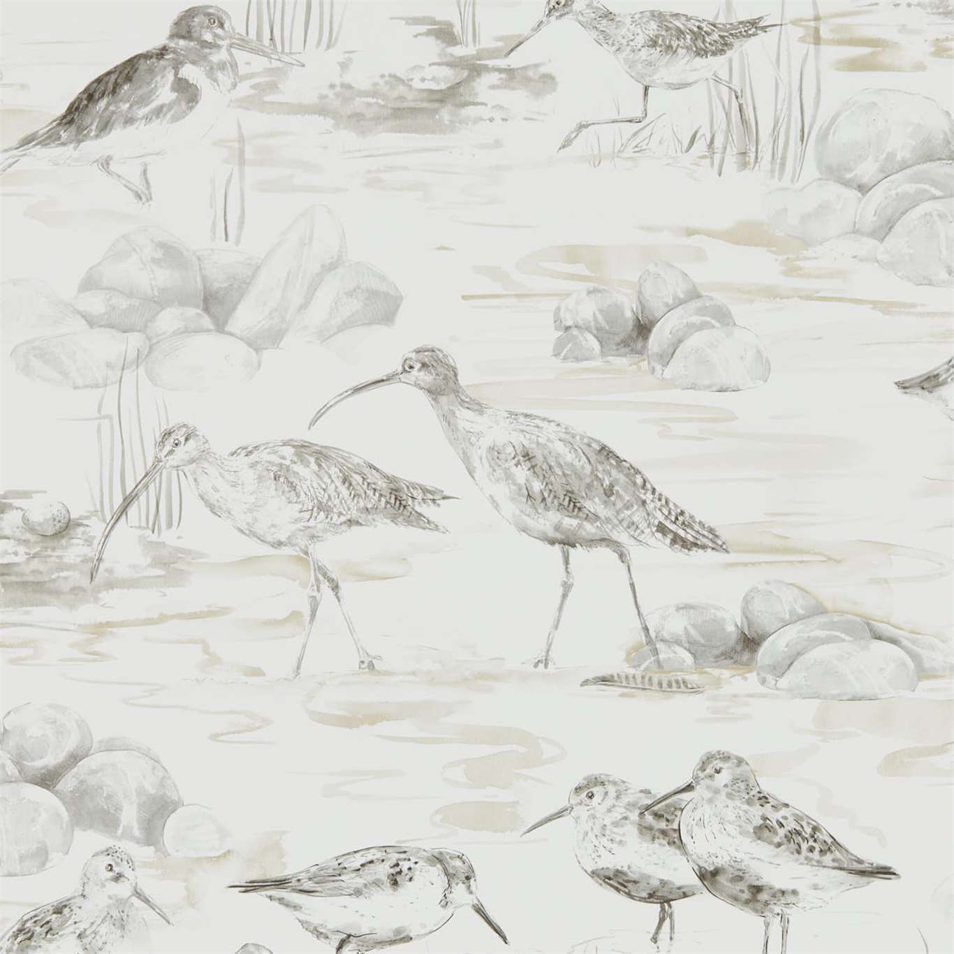 Estuary Birds Chalk/Sepia Wallpaper by SAN