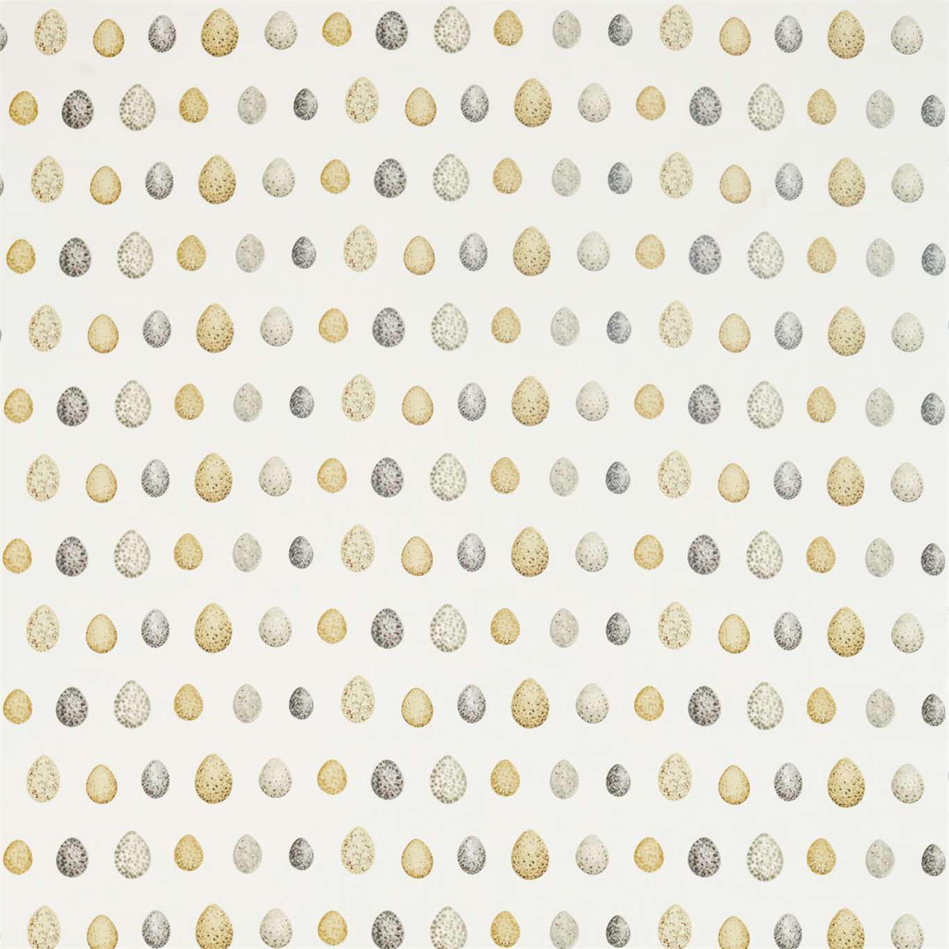 Nest Egg Corn/Graphite Fabric by SAN